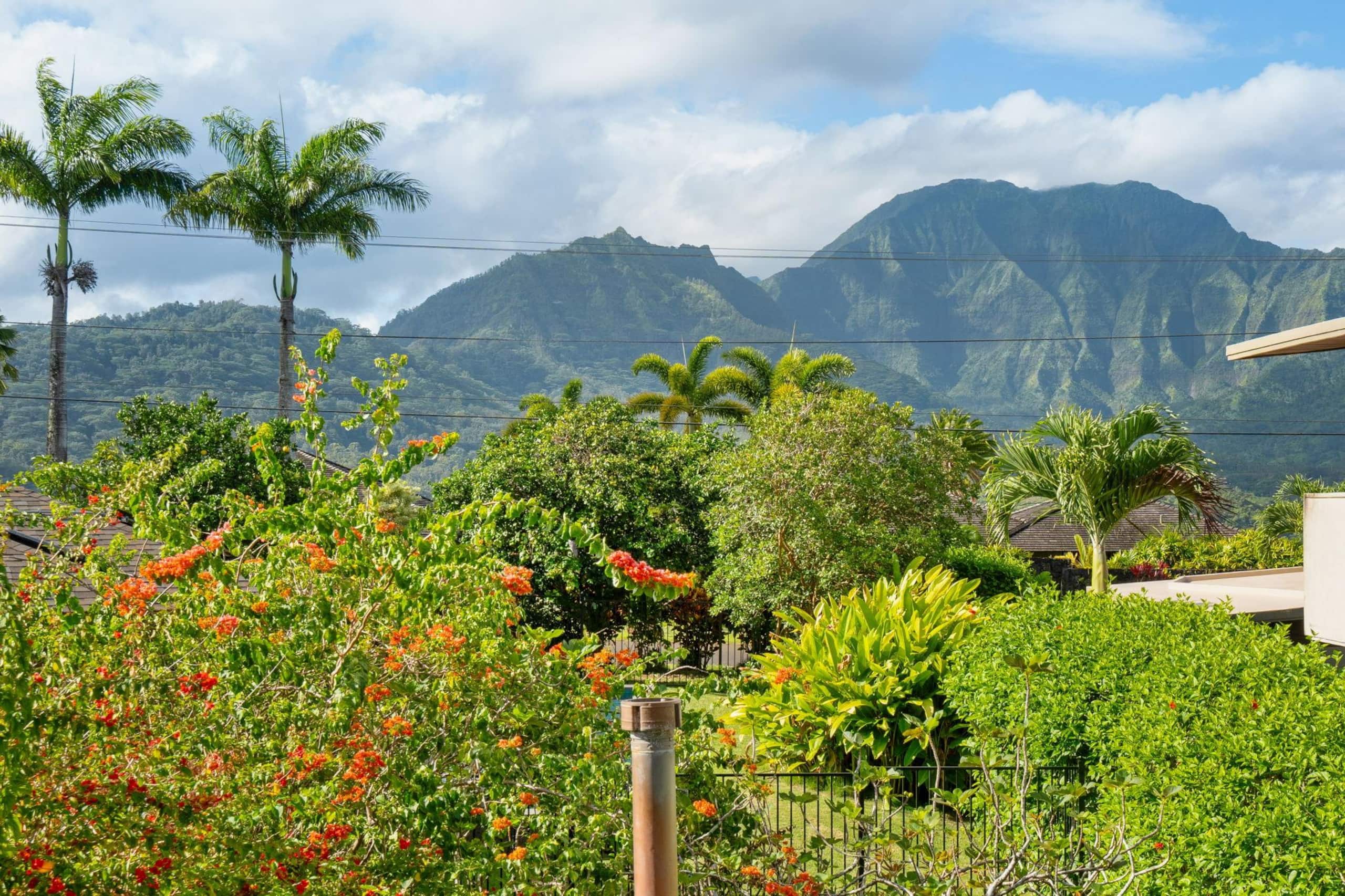 Home in Princeville · ★4.6 · 3 bedrooms · 4 beds · 2.5 baths - Image 43