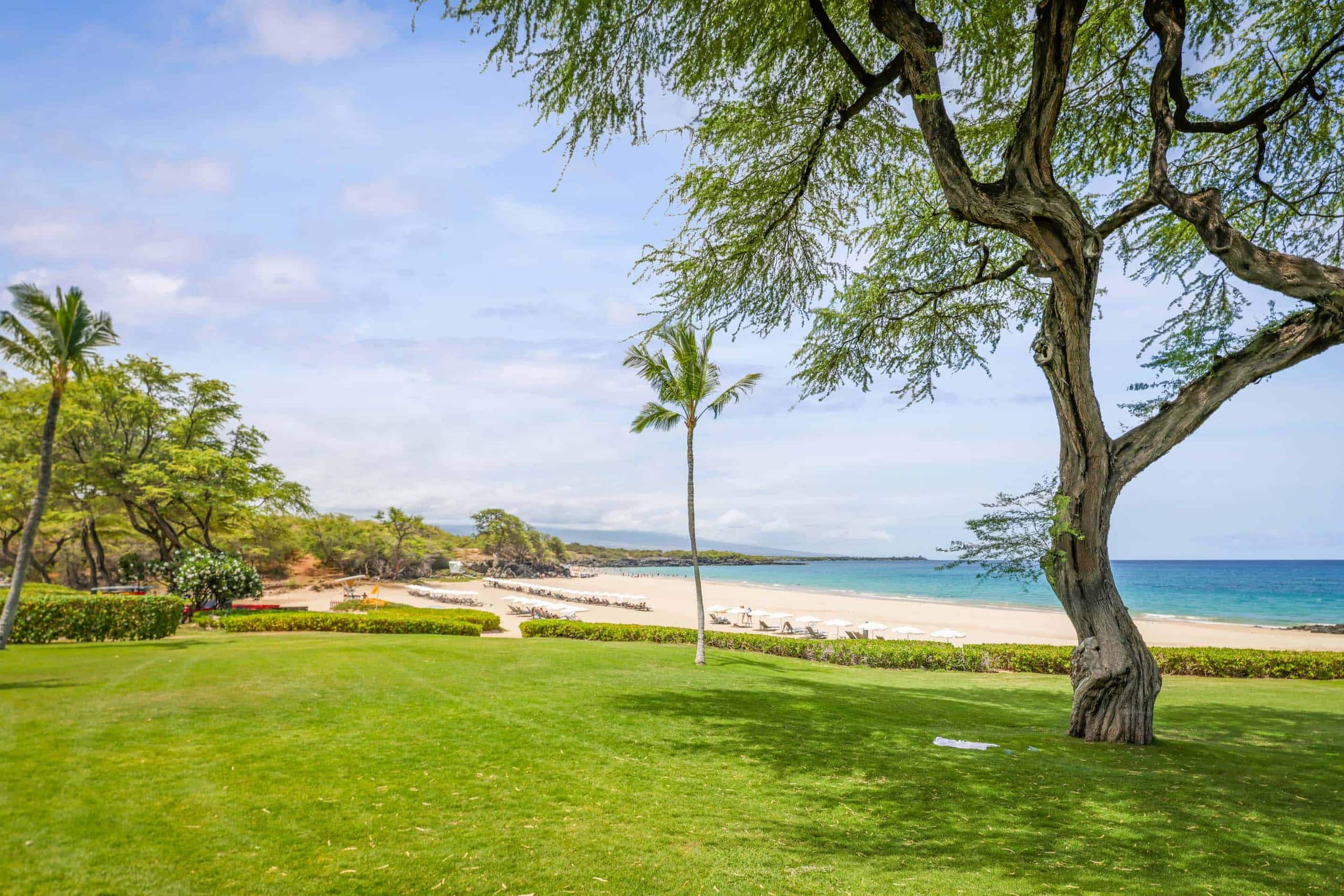 Condo in Waimea · ★5.0 · Studio · 1 bed · 1 bath - Image 13