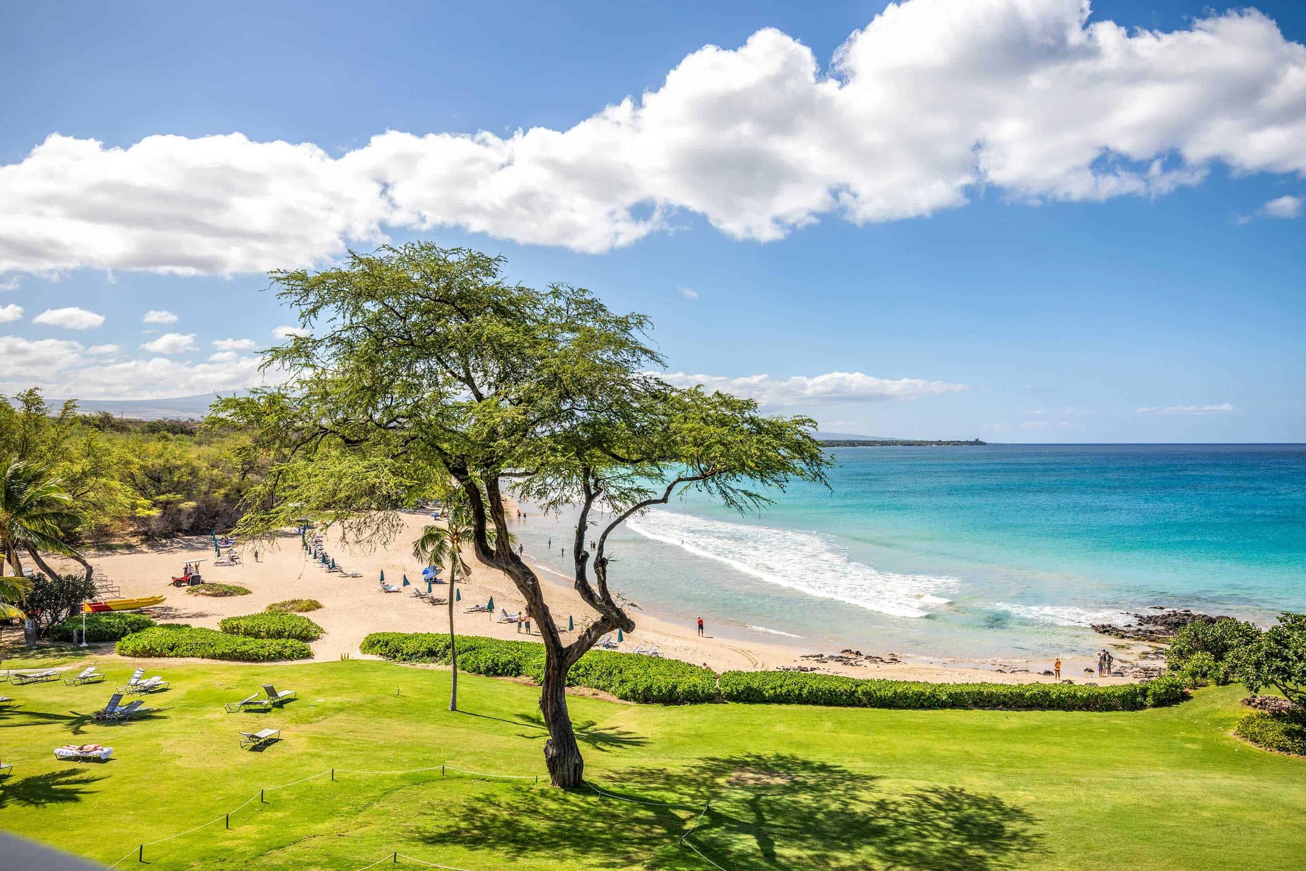 Condo in Waimea · ★5.0 · Studio · 2 beds · 1 bath - Image 21