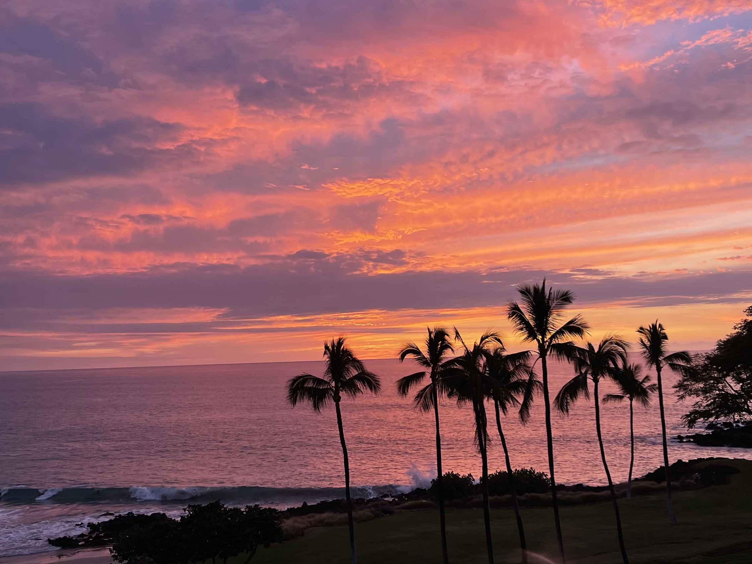 Condo in Waimea · ★5.0 · Studio · 2 beds · 1 bath - Image 22