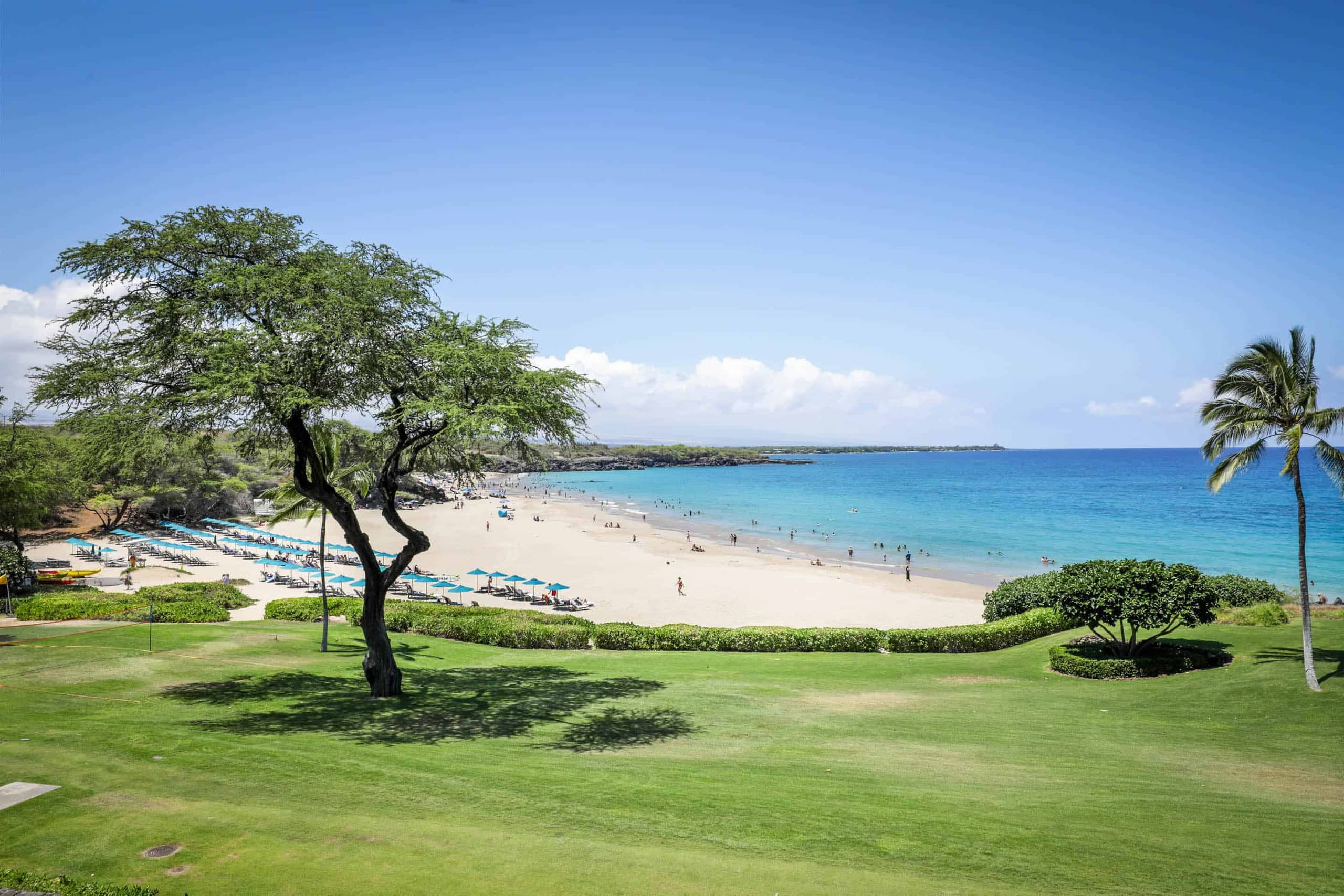 Condo in Waimea · ★4.93 · Studio · 1 bed · 1 bath - Image 18