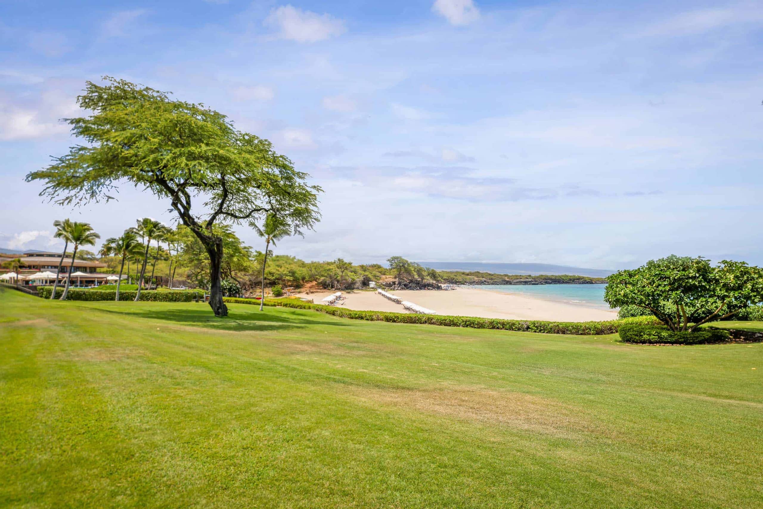 Condo in Waimea · ★4.93 · Studio · 1 bed · 1 bath - Image 21