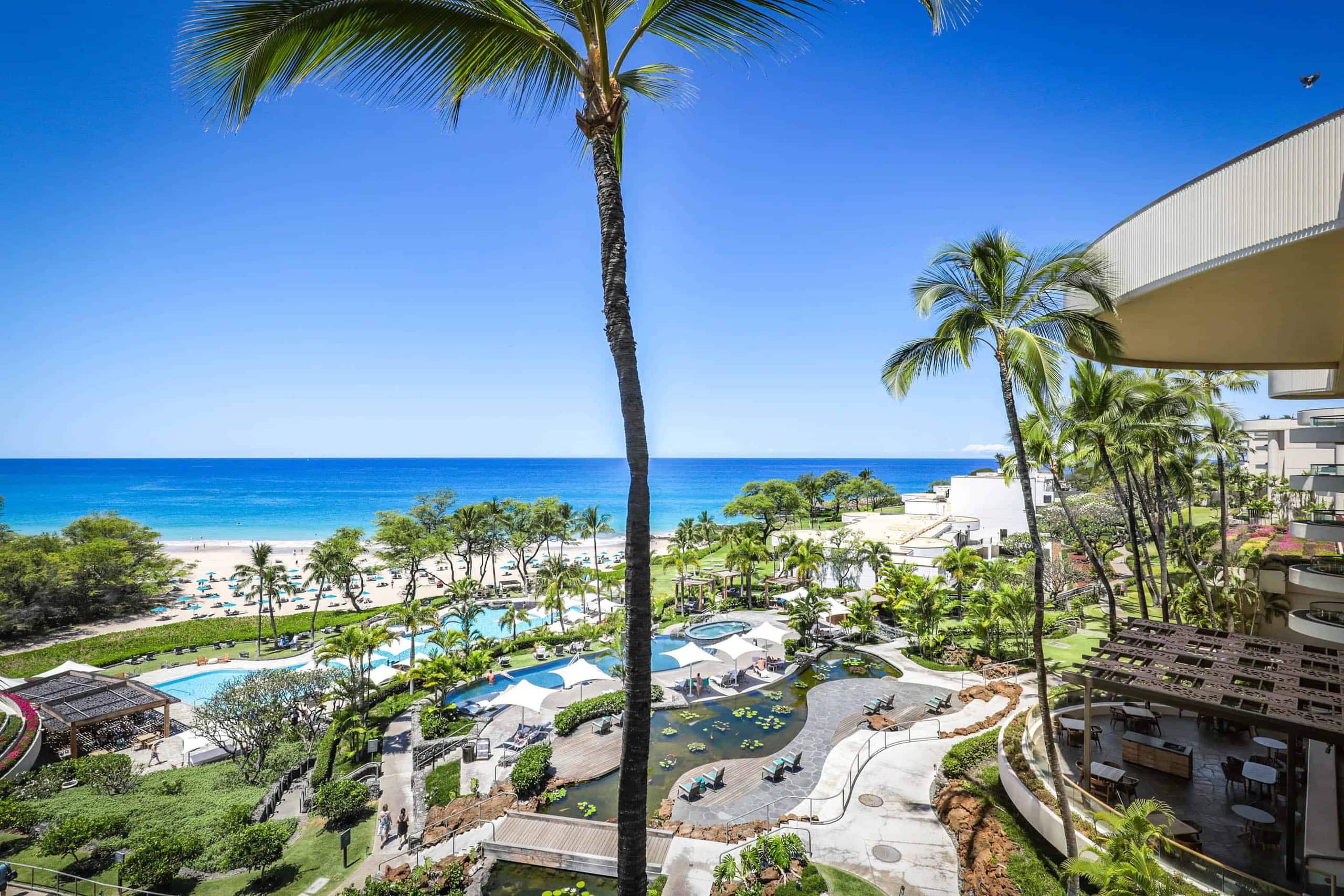 Condo in Waimea · ★4.93 · Studio · 1 bed · 1 bath - Image 6