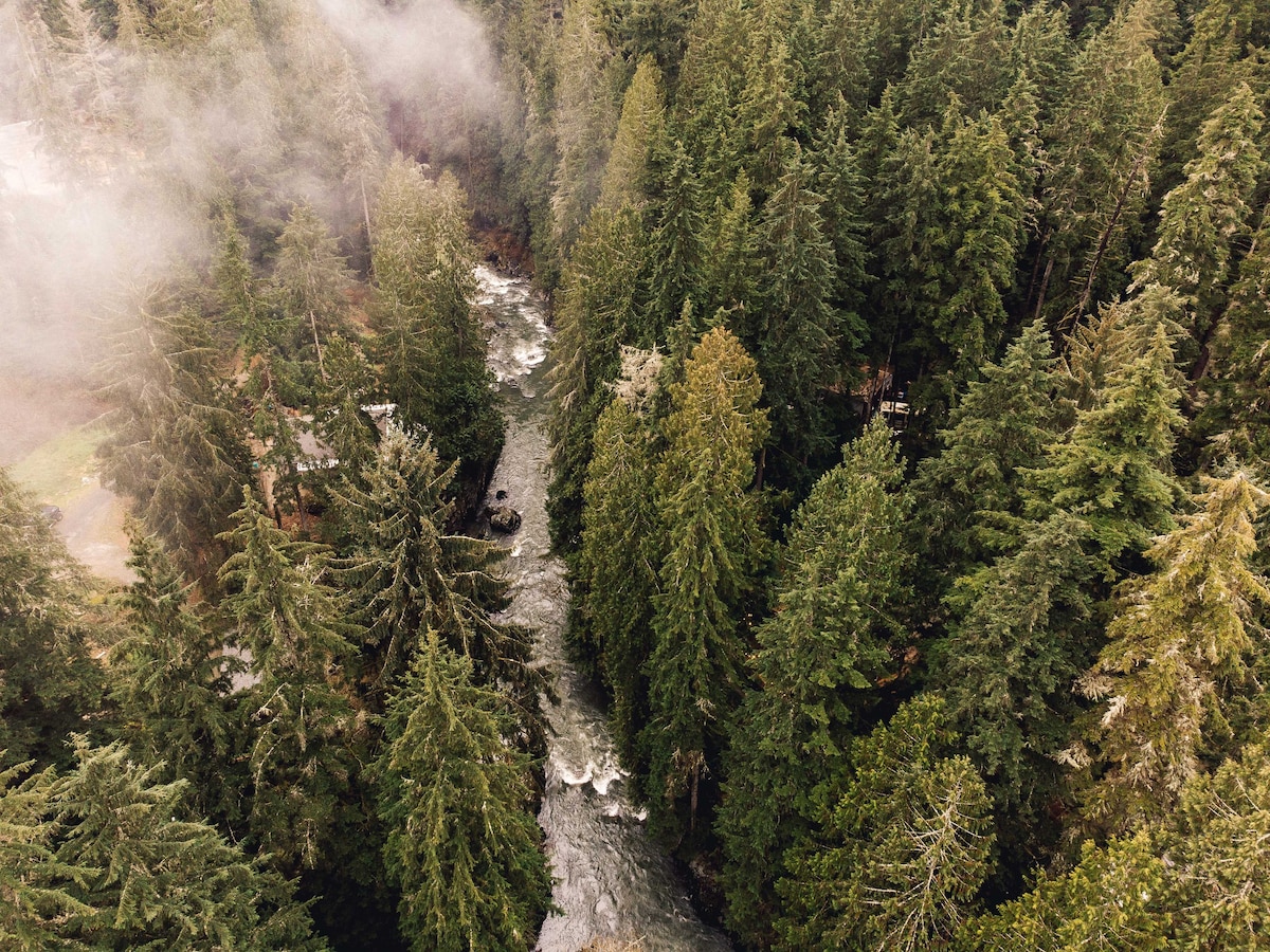 Aerial view of a rushing river meandering through a dense forest of evergreen trees. Mist gently rises from the water, creating a serene atmosphere amid the lush foliage. The clear movement of the river contrasts with the rich greenery surrounding it.