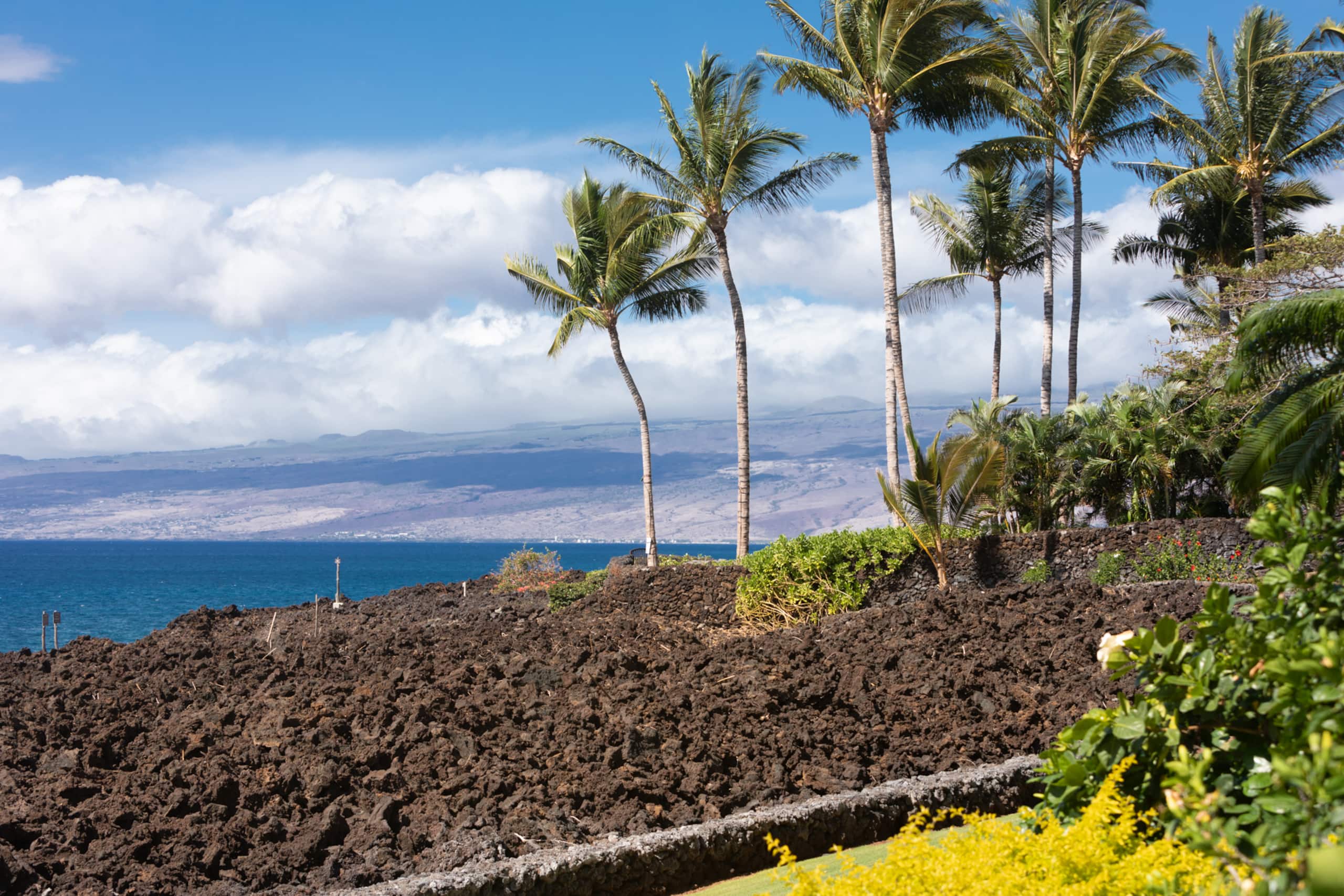Condo in Waikoloa Beach Resort · ★4.88 · 2 bedrooms · 4 beds · 2 baths - Photo 42