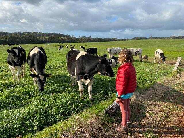 Burton Farmhouse—Reconnect with Nature & Family gallery image 5