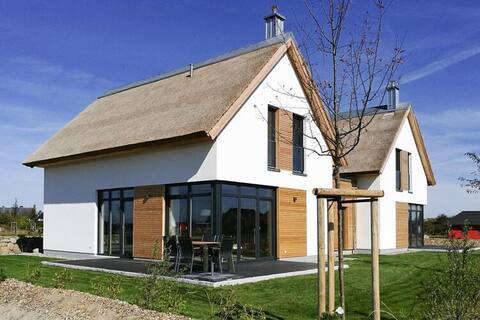 Thatched roof house with sauna and fireplace in Dranske