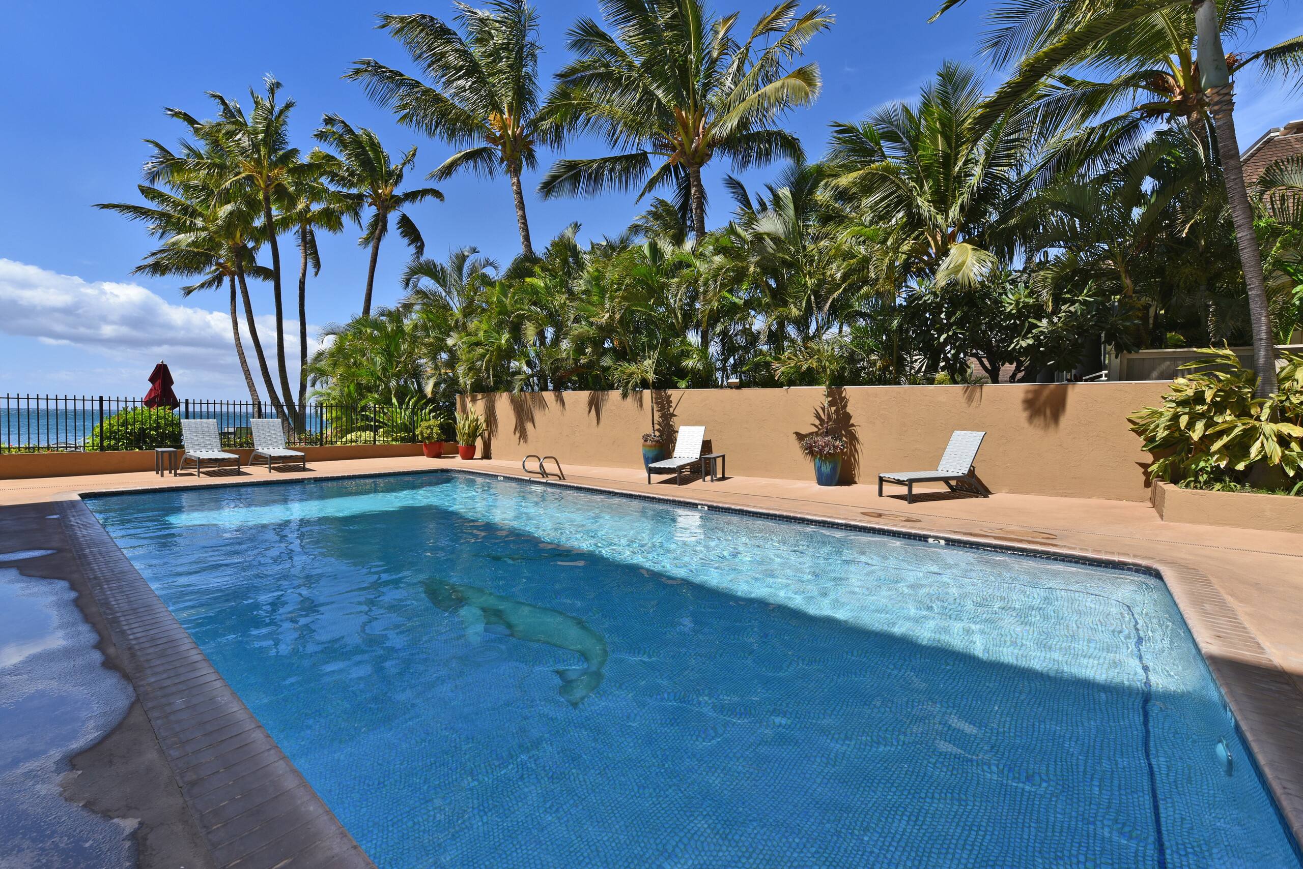 Condo in Kihei · ★5.0 · 1 bedroom · 2 beds · 2 baths - Image 37