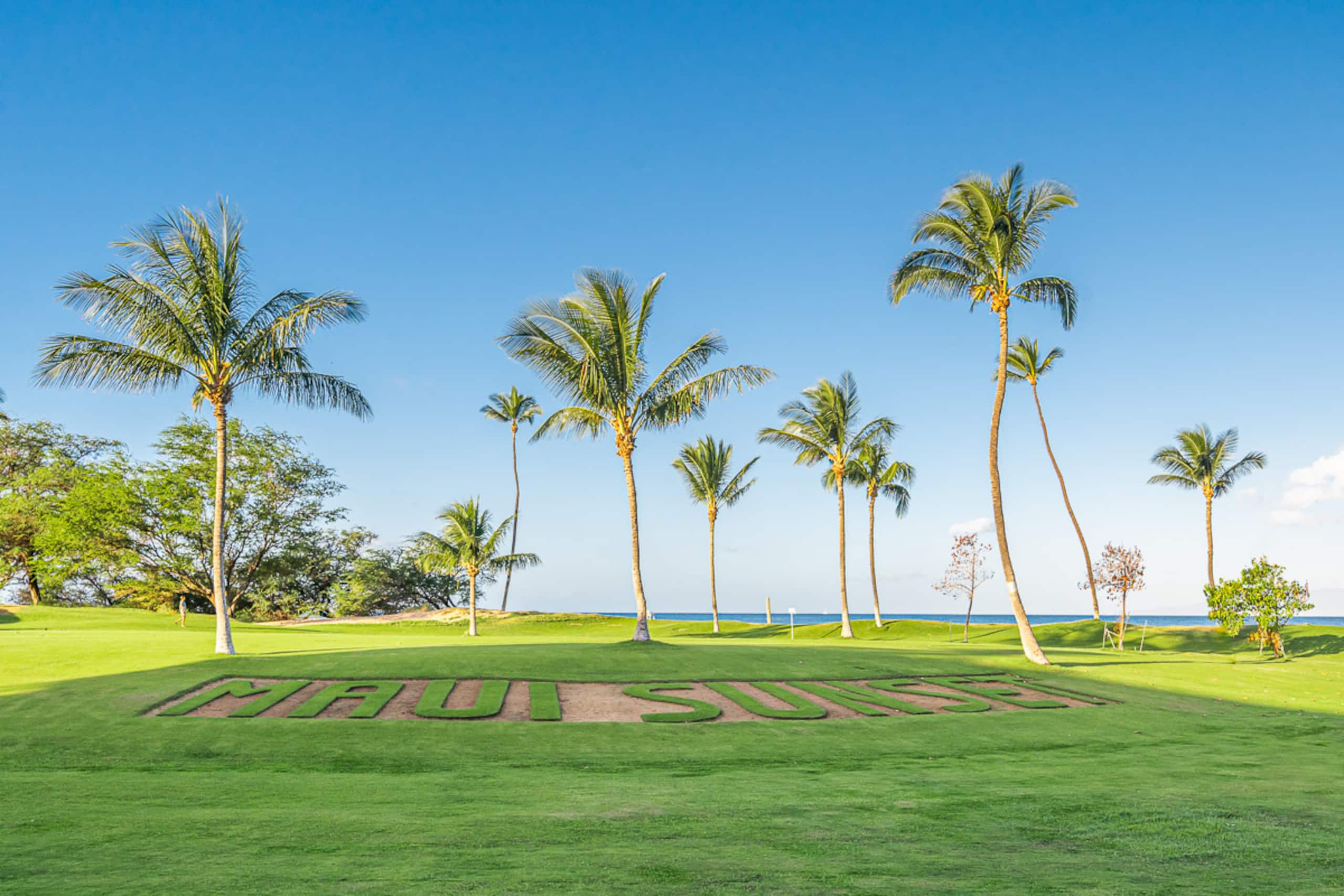 Condo in Kihei · ★4.81 · 2 bedrooms · 3 beds · 2 shared baths - Image 36
