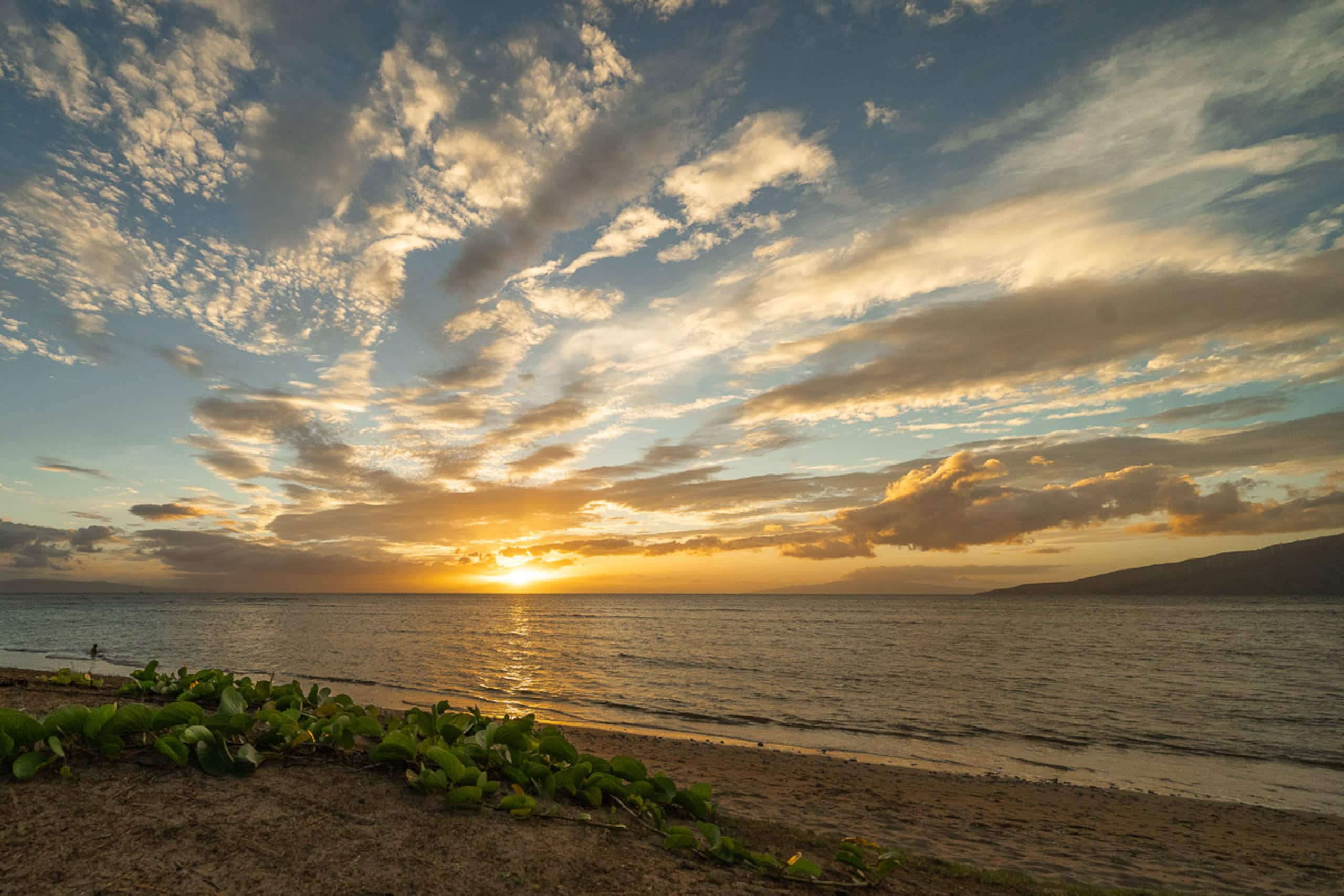 Condo in Kihei · ★4.81 · 2 bedrooms · 3 beds · 2 shared baths - Image 48
