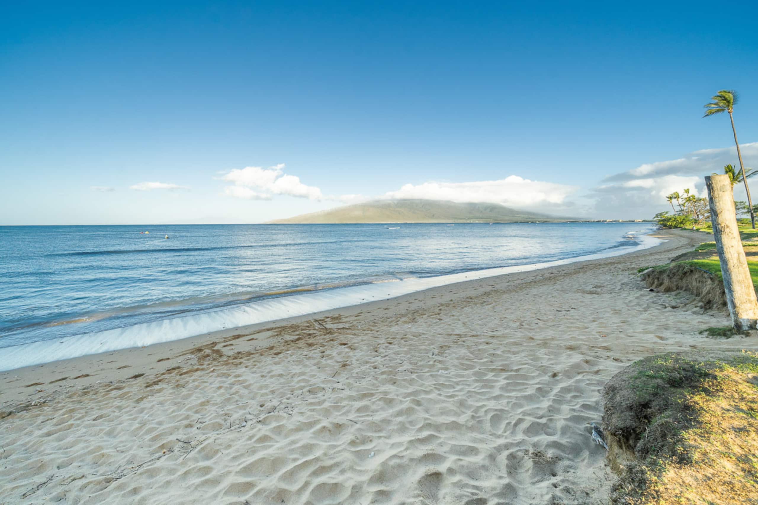 Condo in Kihei · ★4.81 · 2 bedrooms · 3 beds · 2 shared baths - Image 47
