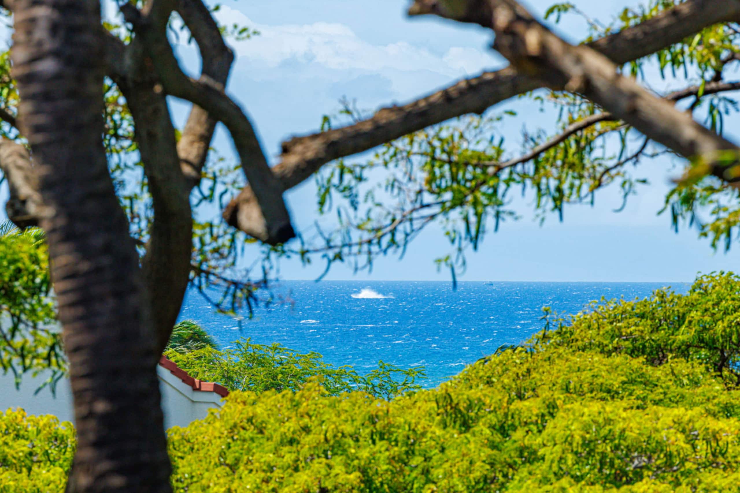 Condo in Kihei · ★4.65 · 2 bedrooms · 2 beds · 2 baths - Image 34