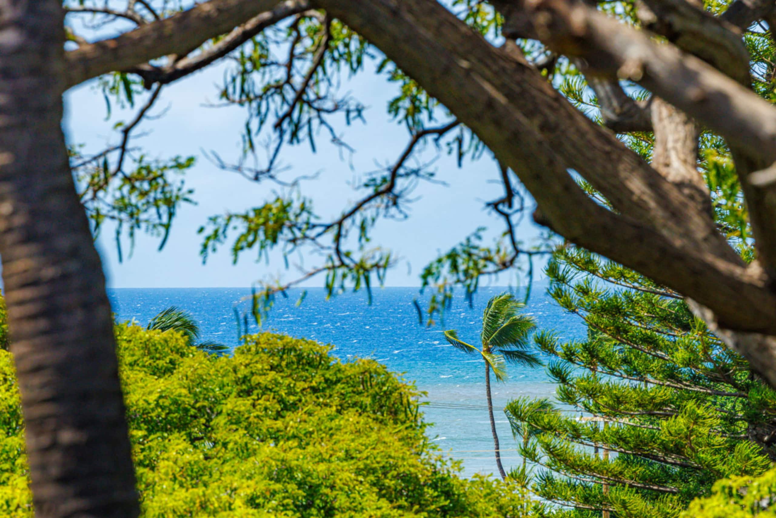 Condo in Kihei · ★4.65 · 2 bedrooms · 2 beds · 2 baths - Image 39