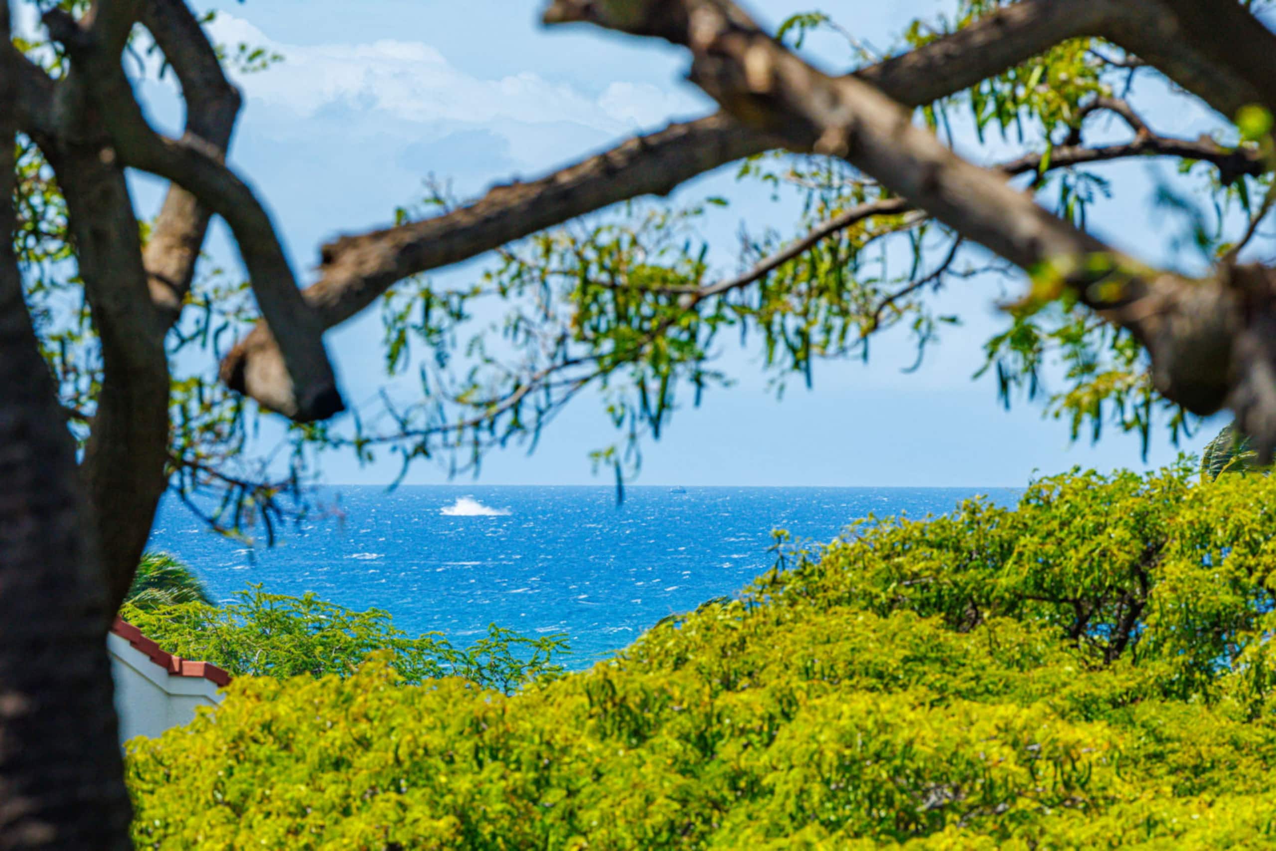 Condo in Kihei · ★4.65 · 2 bedrooms · 2 beds · 2 baths - Image 36
