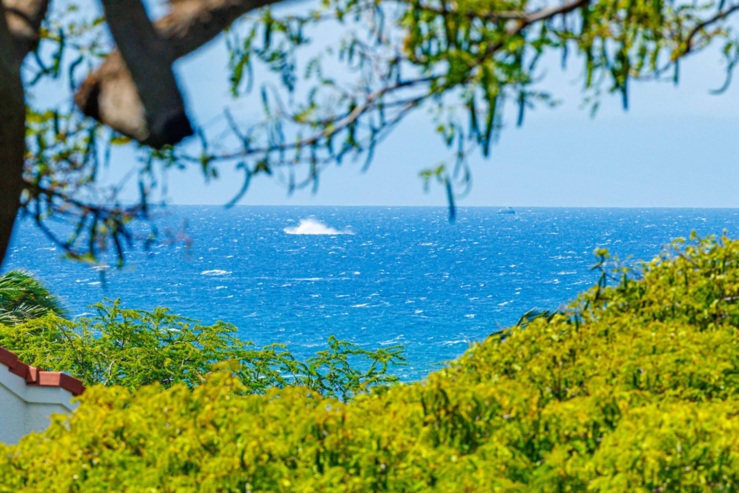 Condo in Kihei · ★4.65 · 2 bedrooms · 2 beds · 2 baths - Image 40
