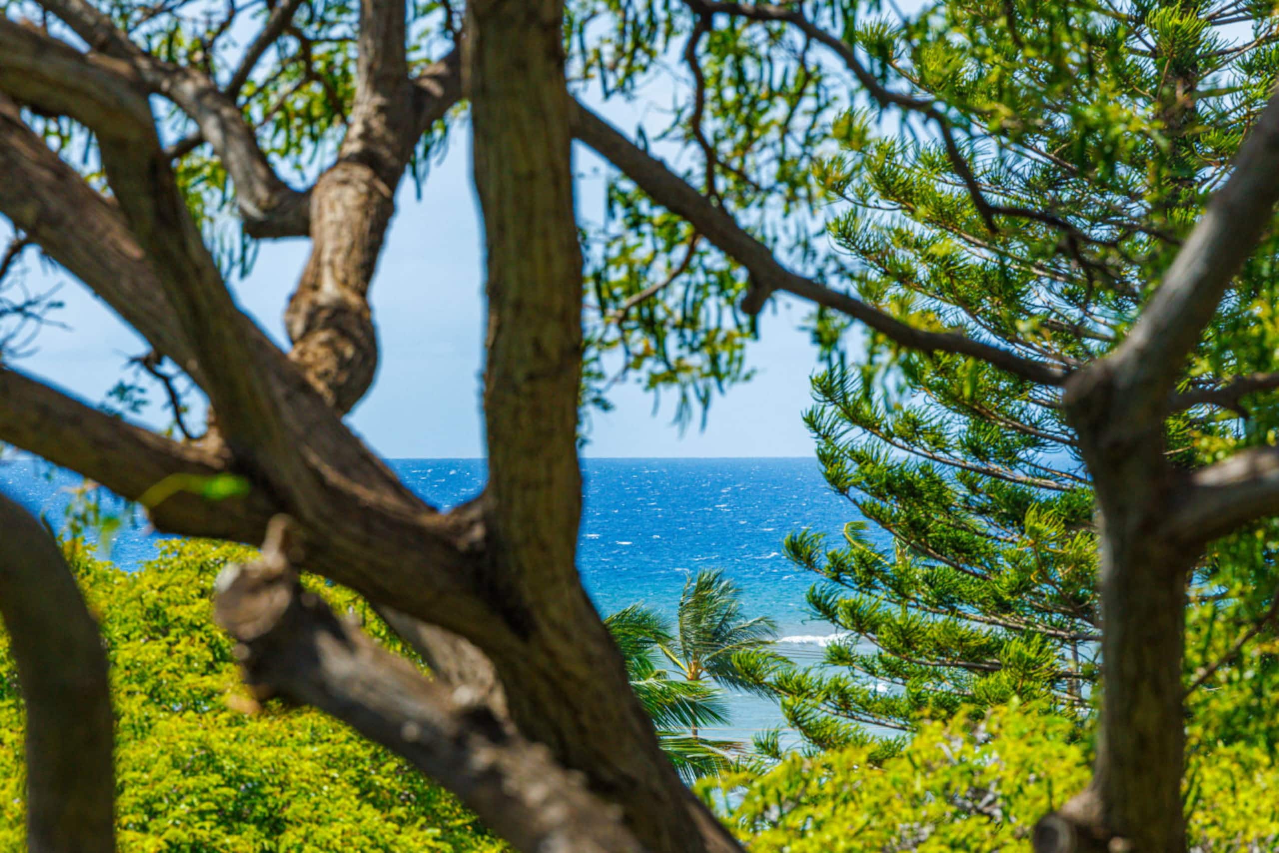 Condo in Kihei · ★4.65 · 2 bedrooms · 2 beds · 2 baths - Image 41