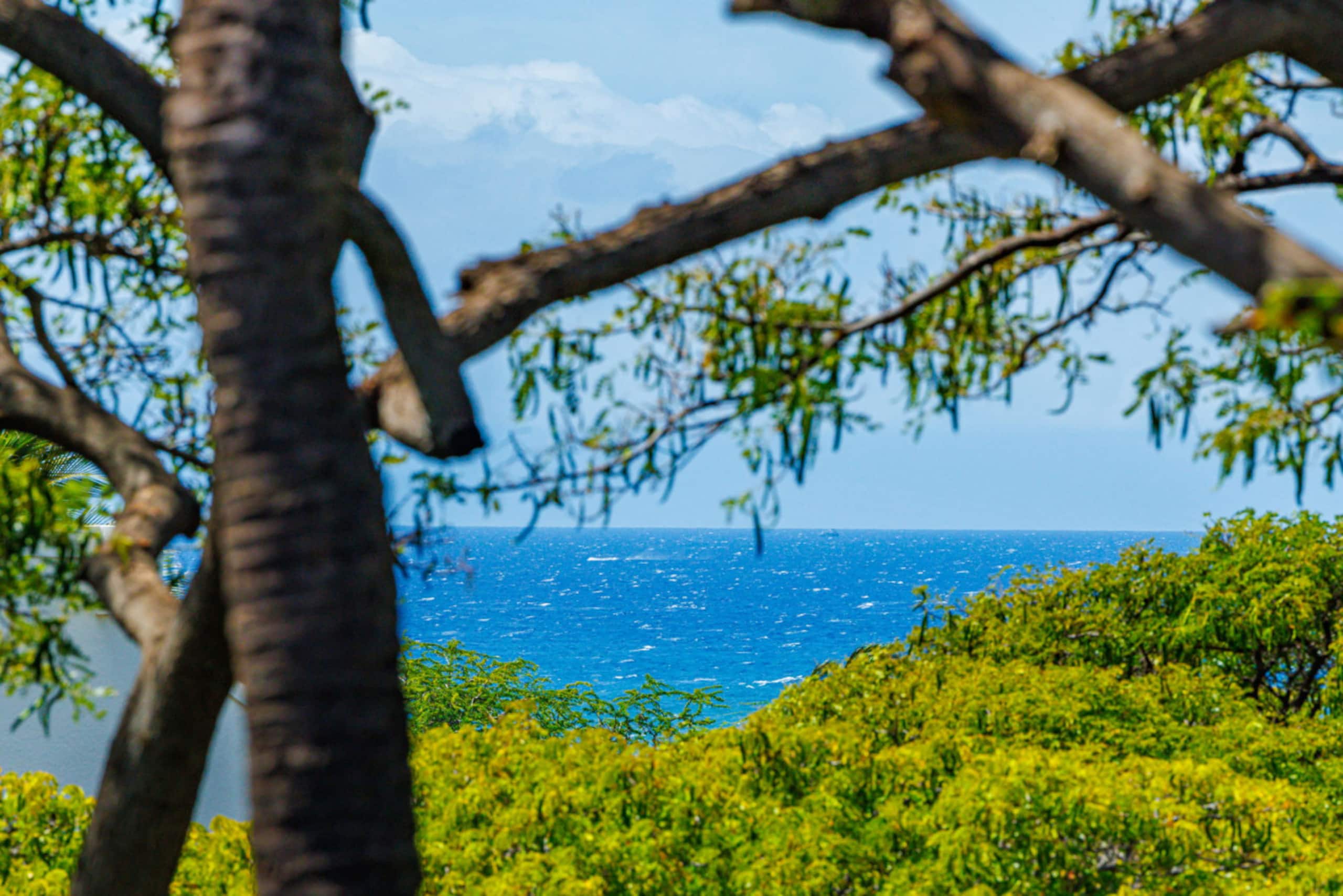 Condo in Kihei · ★4.65 · 2 bedrooms · 2 beds · 2 baths - Image 42