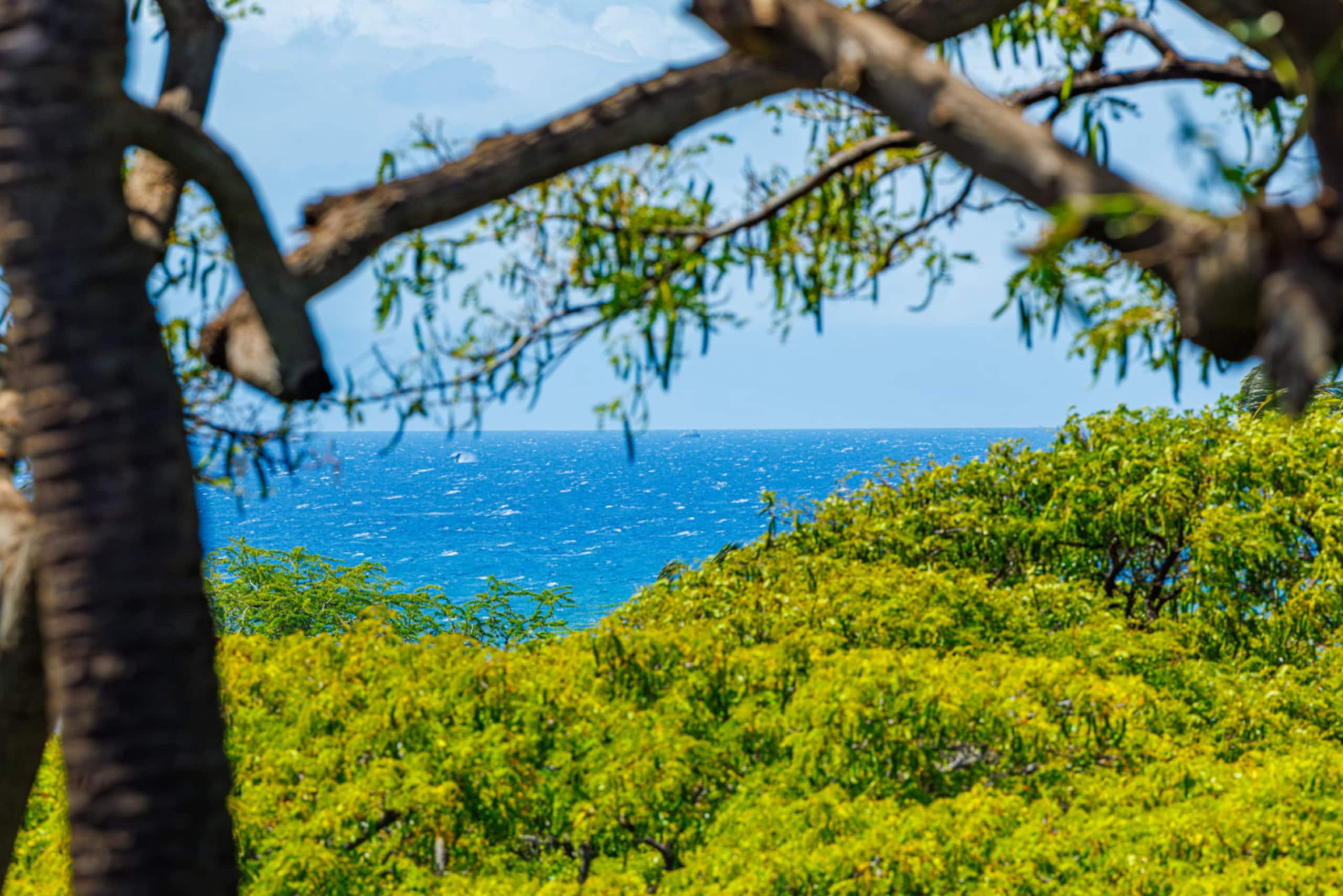 Condo in Kihei · ★4.65 · 2 bedrooms · 2 beds · 2 baths - Image 35