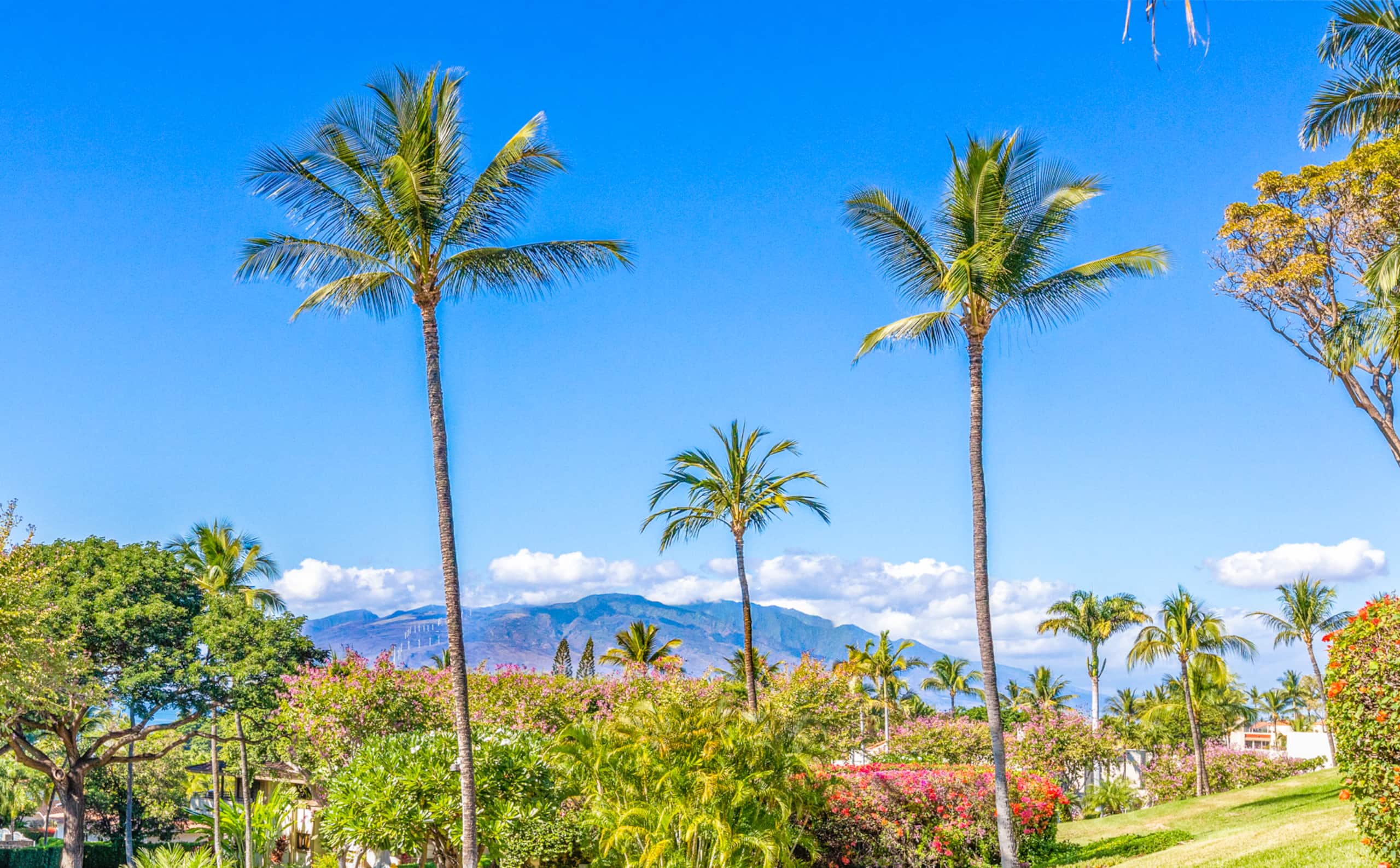 Condo in Kihei · ★4.67 · 2 bedrooms · 4 beds · 2 baths - Image 18