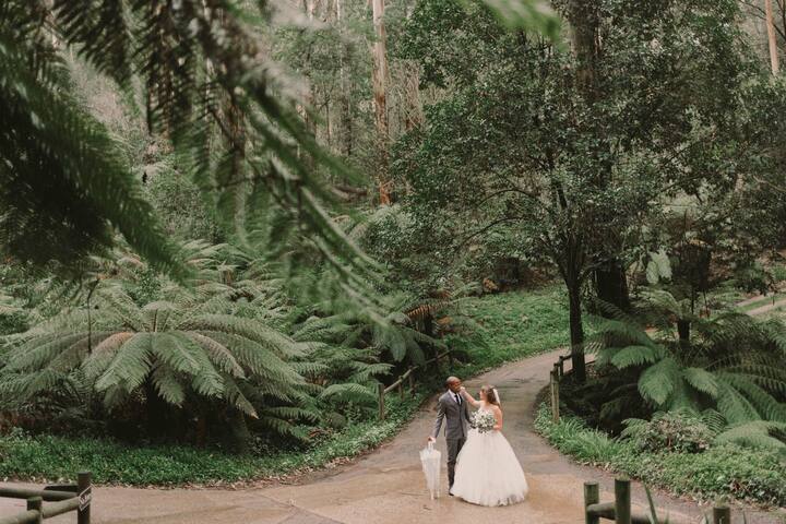 Rainforest weddings, events, retreats, Sleep20+ gallery image 5
