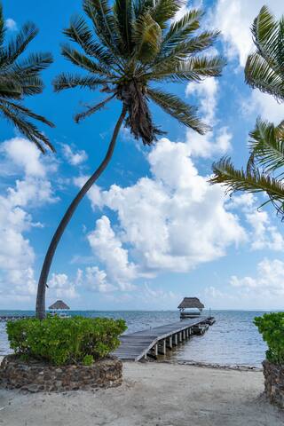 Villa Descanso | Peaceful Beach Front 3BR Seascape gallery image 2