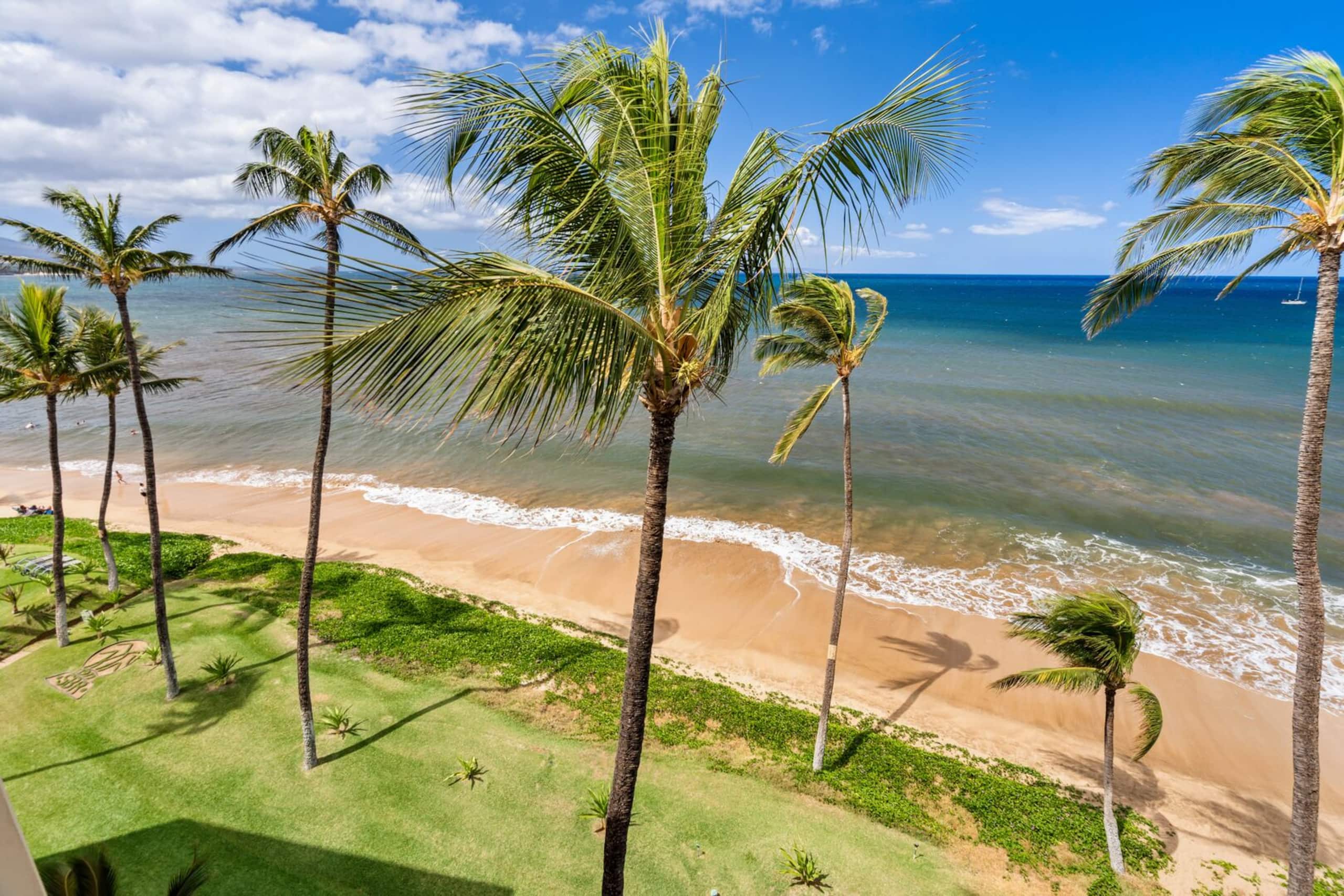 Condo in Kihei · ★4.83 · 1 bedroom · 2 beds · 1 bath - Image 4