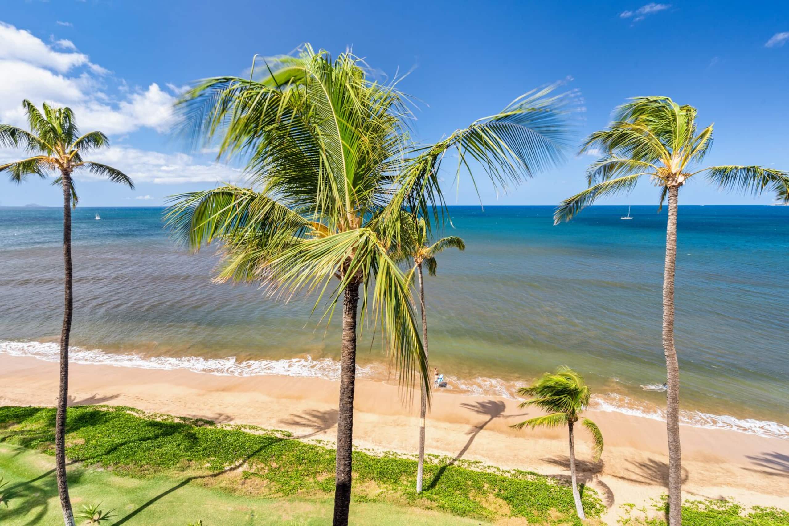 Condo in Kihei · ★4.83 · 1 bedroom · 2 beds · 1 bath - Image 56