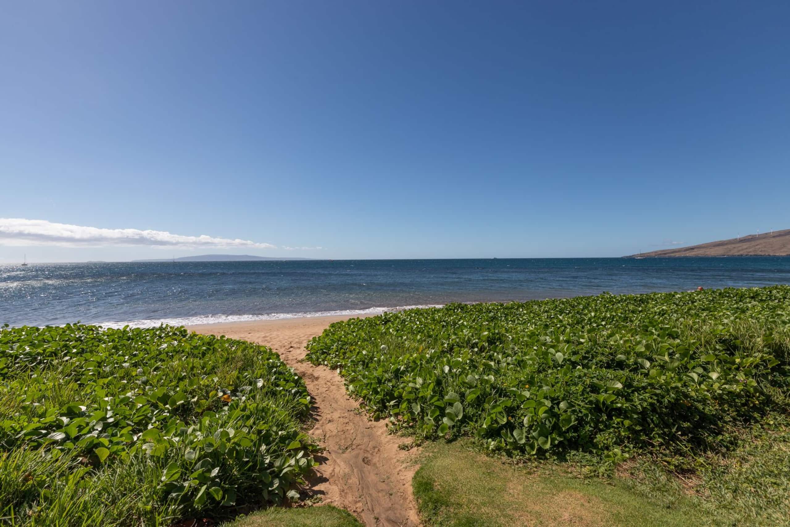 Condo in Kihei · ★4.83 · 1 bedroom · 2 beds · 1 bath - Image 21