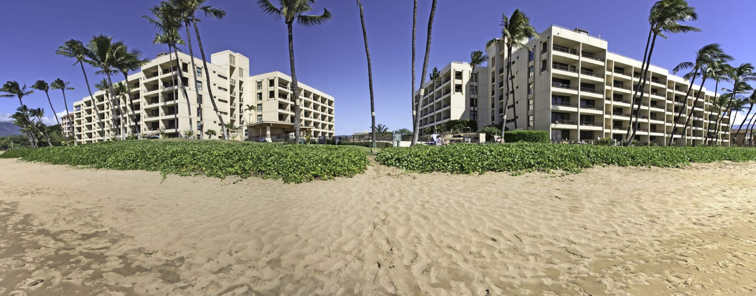 Condo in Kihei · ★4.83 · 1 bedroom · 2 beds · 1 bath - Image 23
