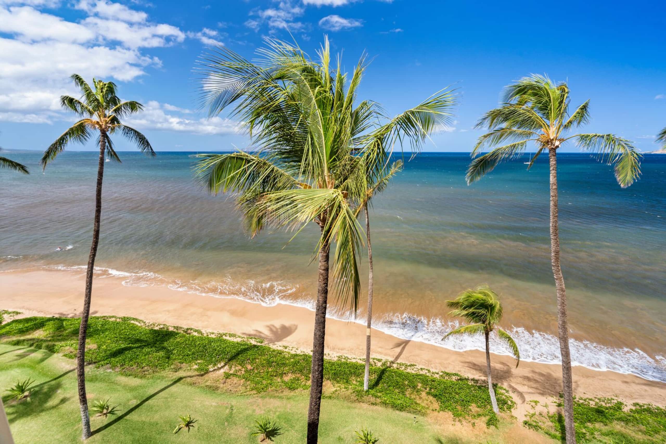 Condo in Kihei · ★4.83 · 1 bedroom · 2 beds · 1 bath - Image 59