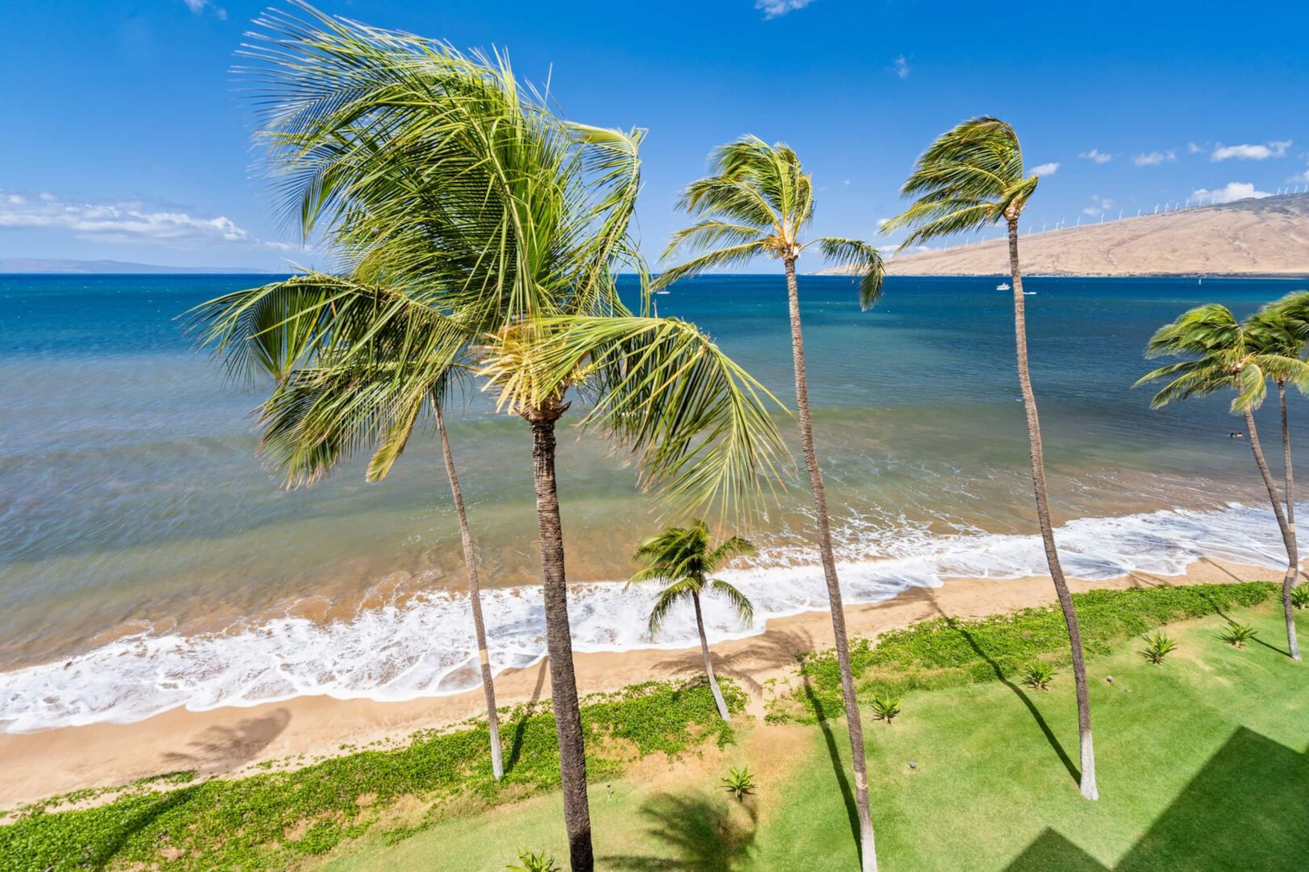Condo in Kihei · ★4.83 · 1 bedroom · 2 beds · 1 bath - Image 58