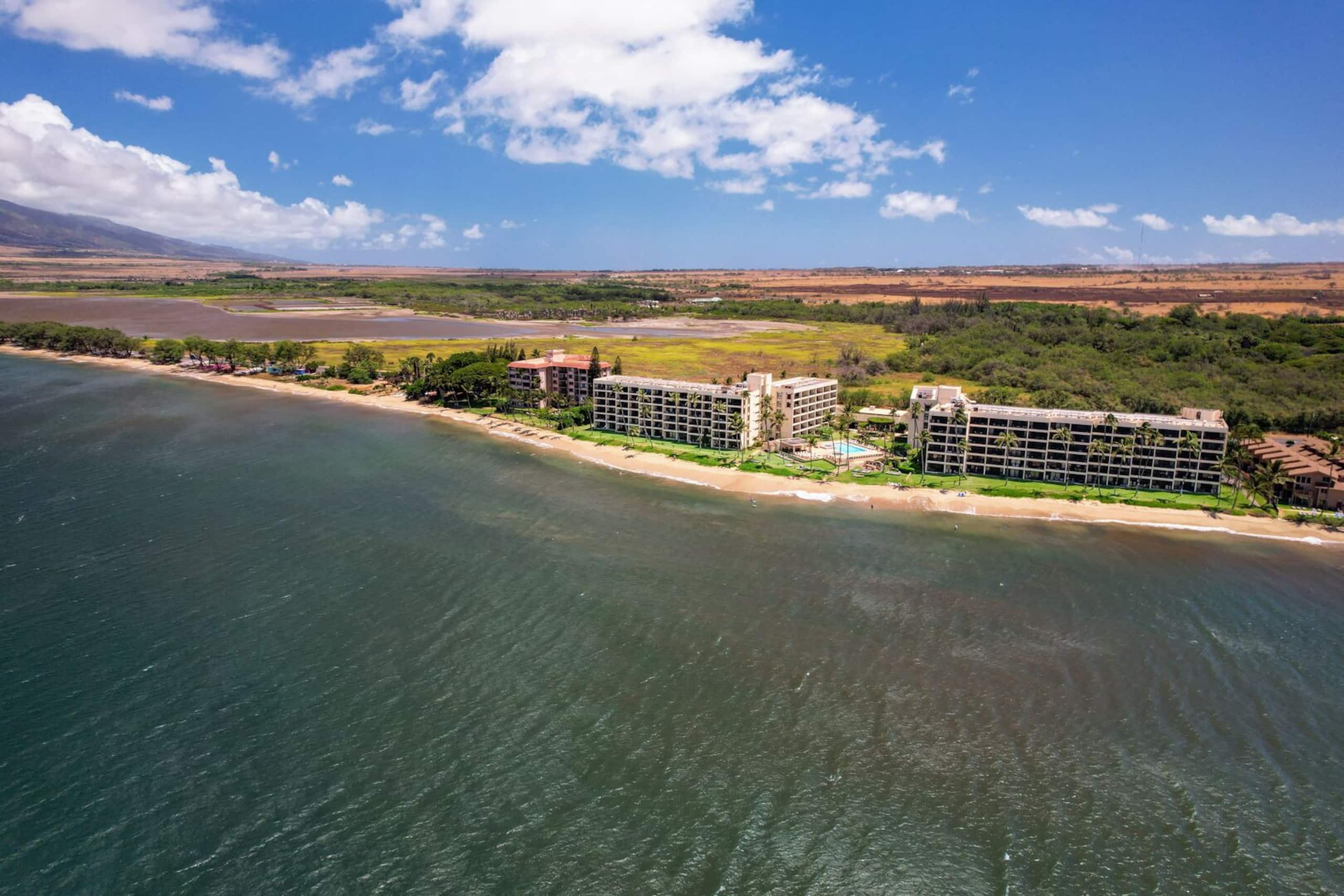 Condo in Kihei · ★4.83 · 1 bedroom · 2 beds · 1 bath - Image 49
