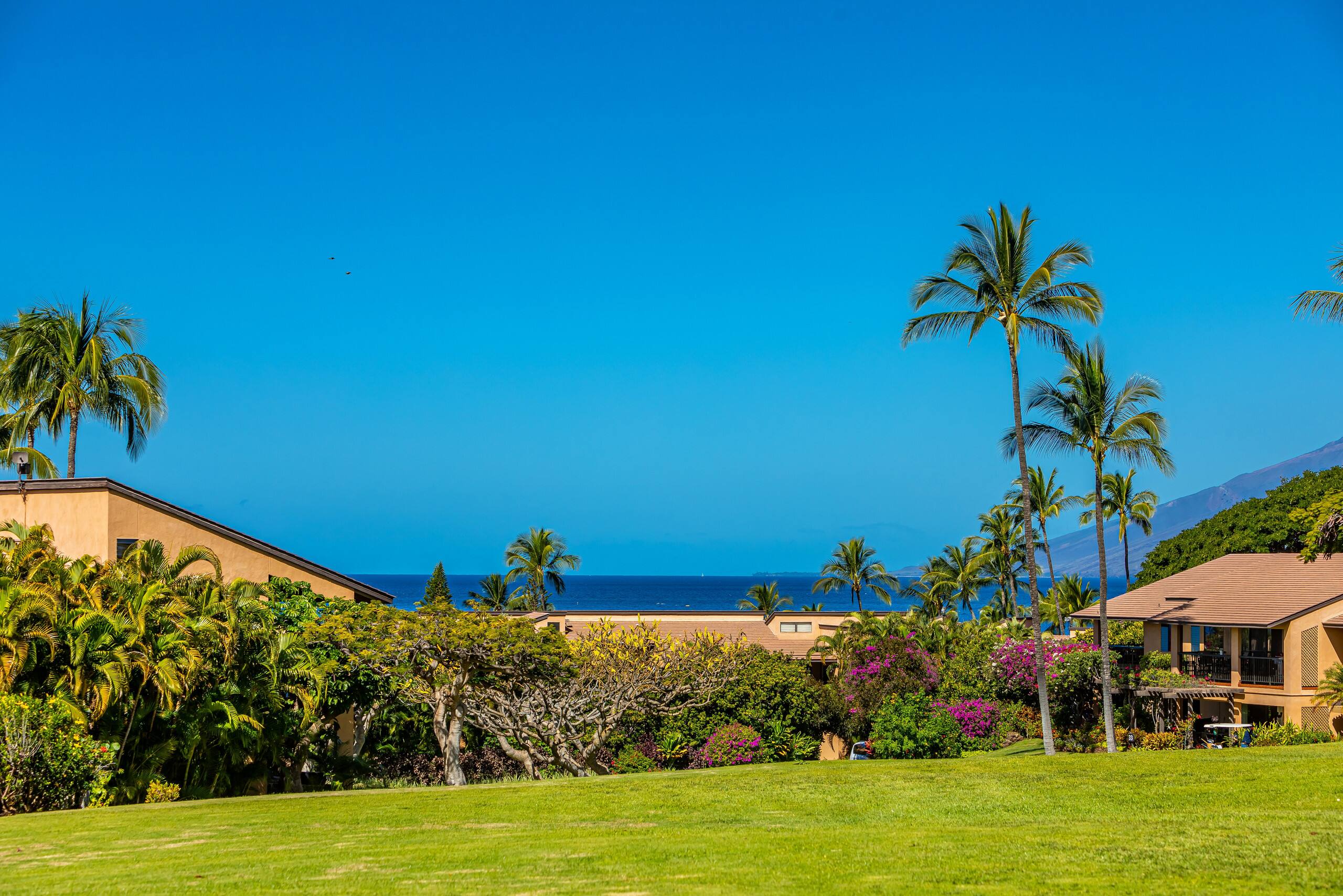 Condo in Kihei · ★4.75 · 1 bedroom · 2 beds · 2 baths - Image 1