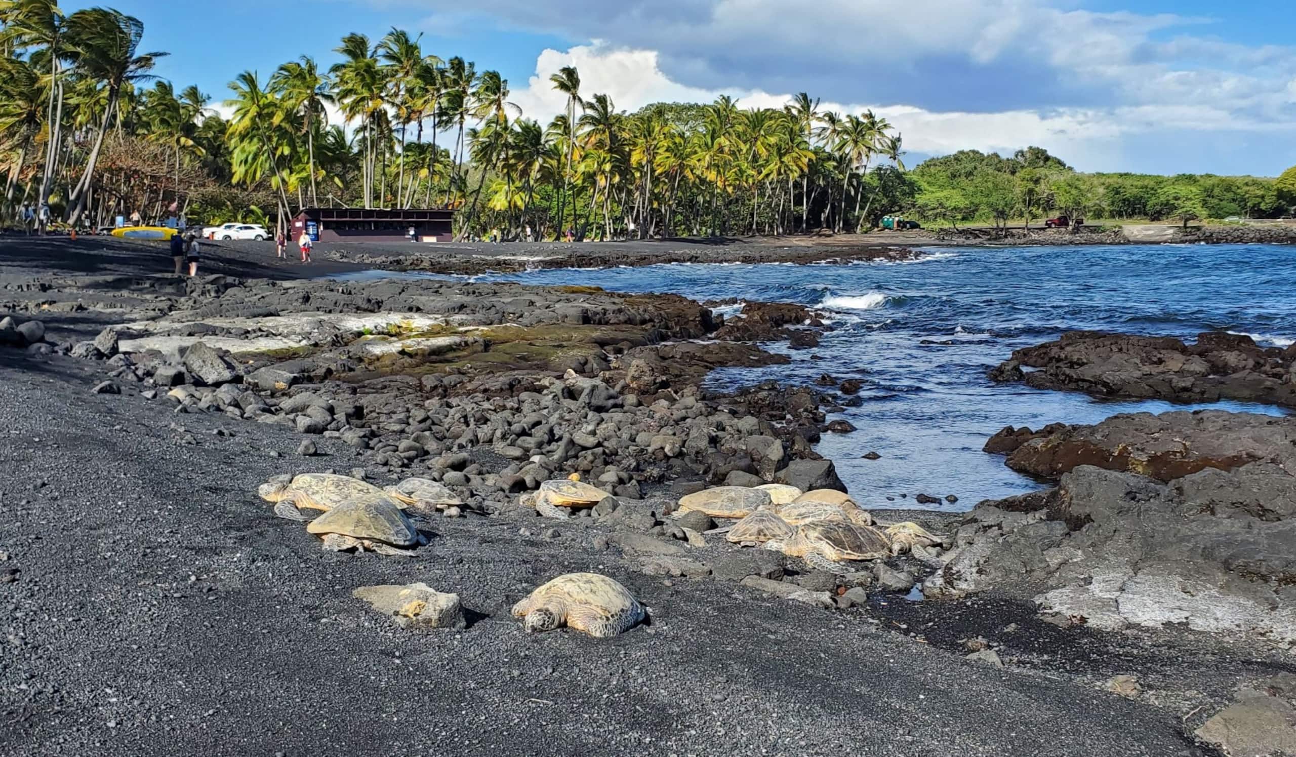 Condo in Naalehu · ★4.85 · 2 bedrooms · 3 beds · 2 shared baths - Image 33
