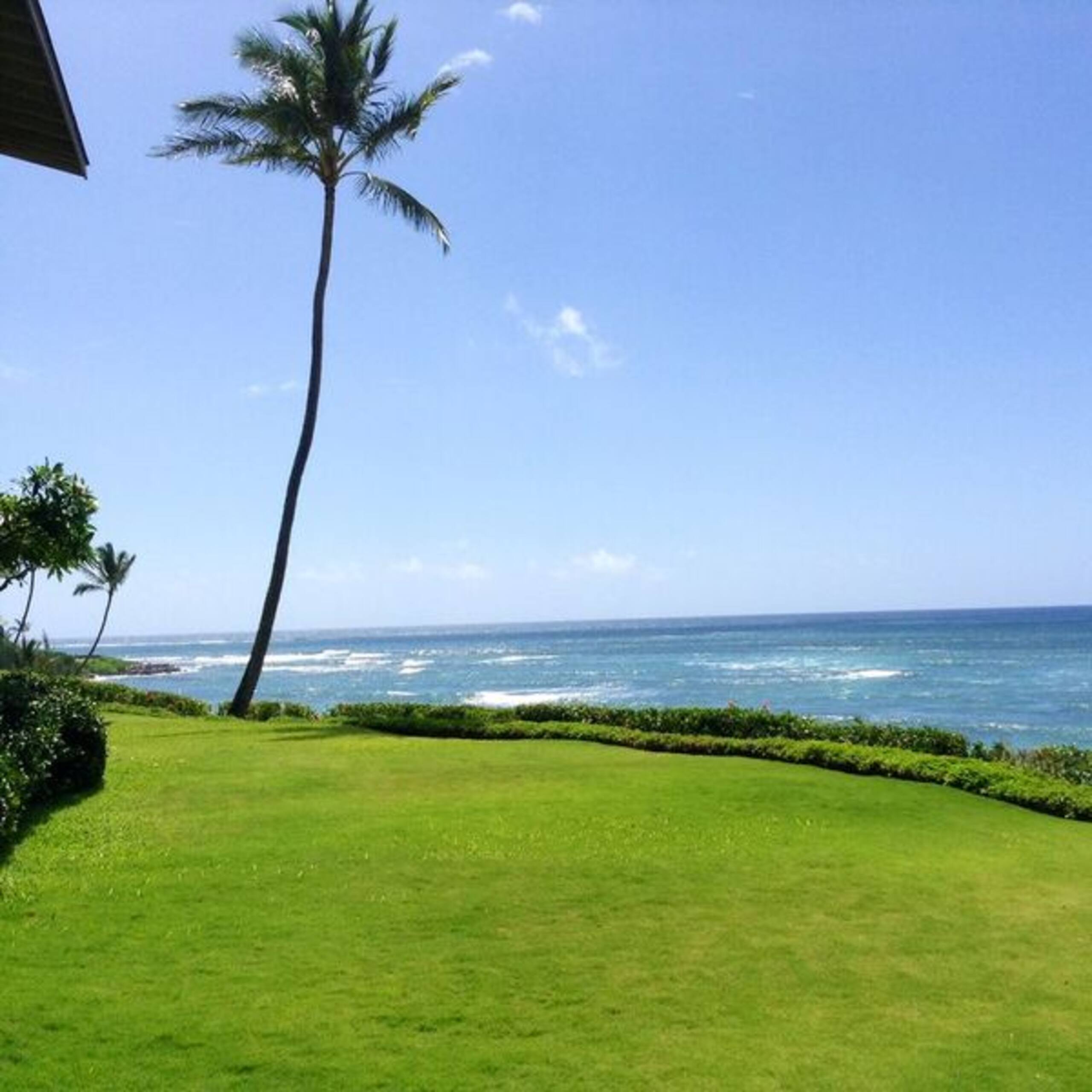 Condo in Kapaa · ★4.58 · 1 bedroom · 1 bed · 1 bath - Photo 19