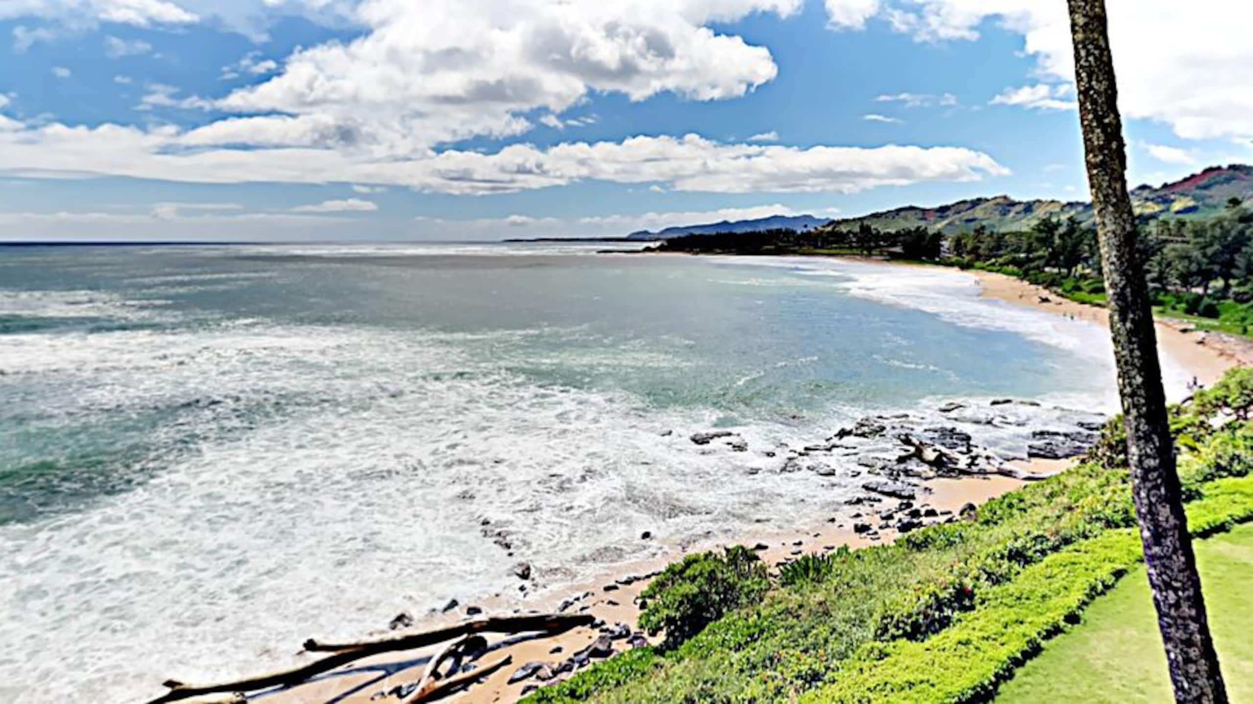 Condo in Kapaa · ★4.58 · 1 bedroom · 1 bed · 1 bath - Photo 7