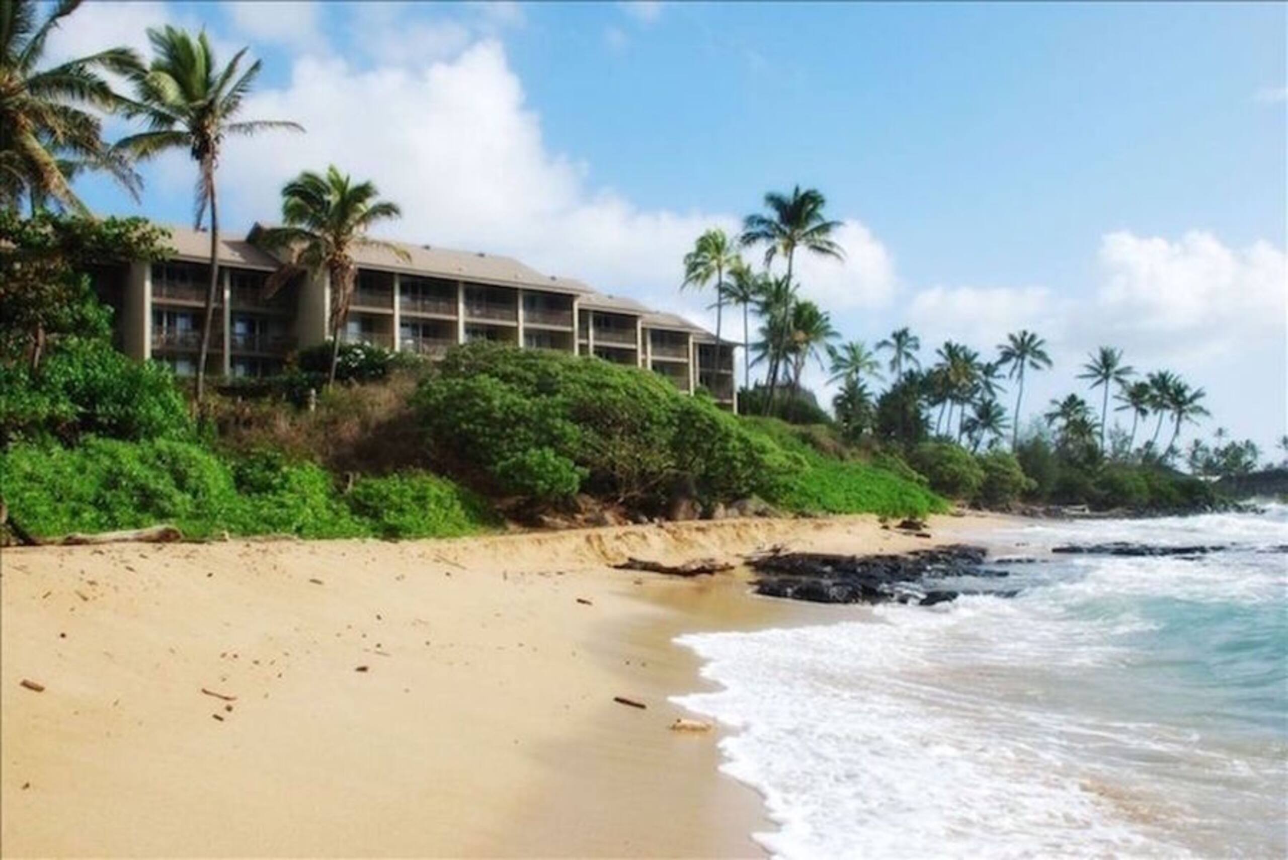 Condo in Kapaa · ★4.58 · 1 bedroom · 1 bed · 1 bath - Photo 14