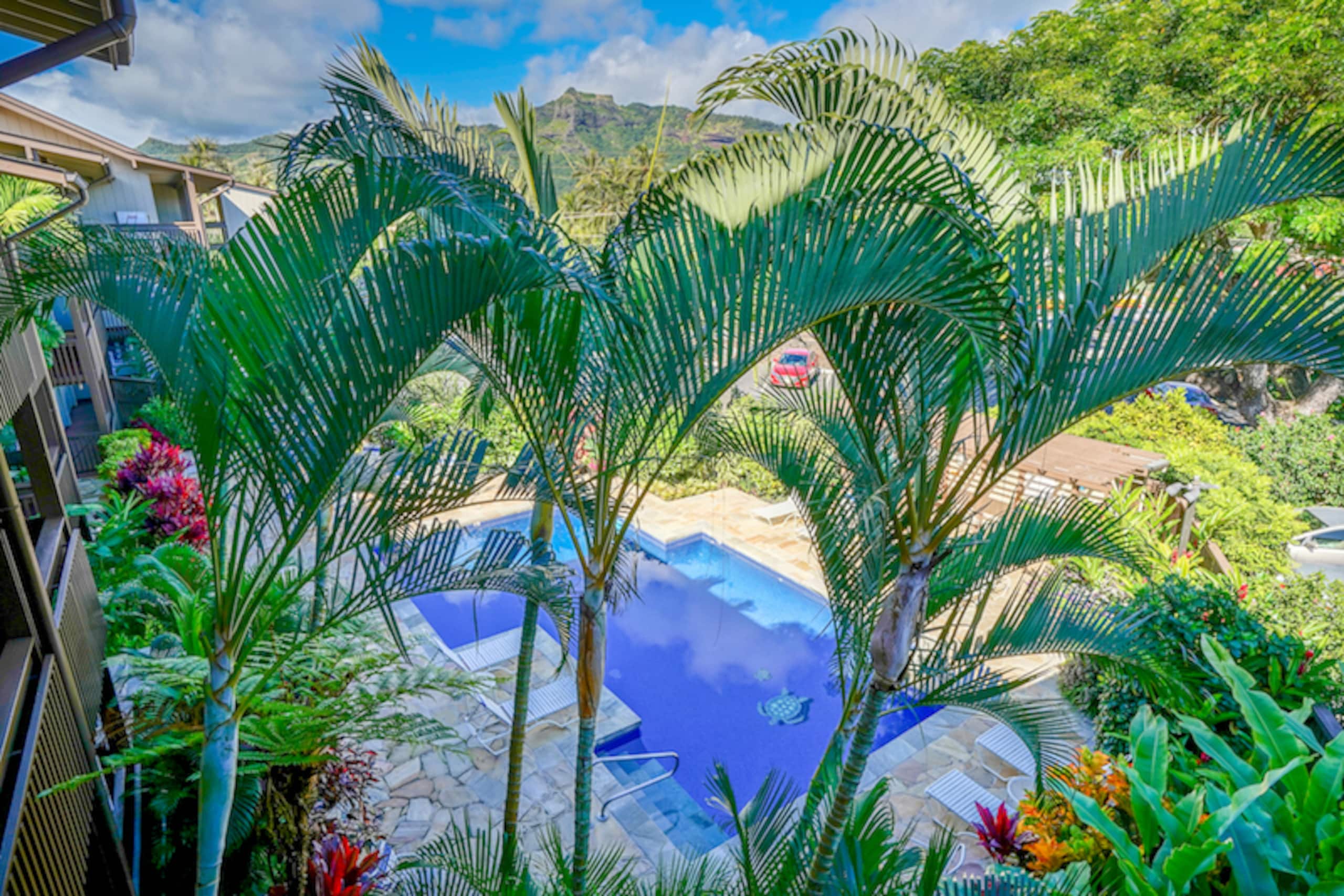 Condo in Kapaa · ★4.58 · 1 bedroom · 1 bed · 1 bath - Photo 17