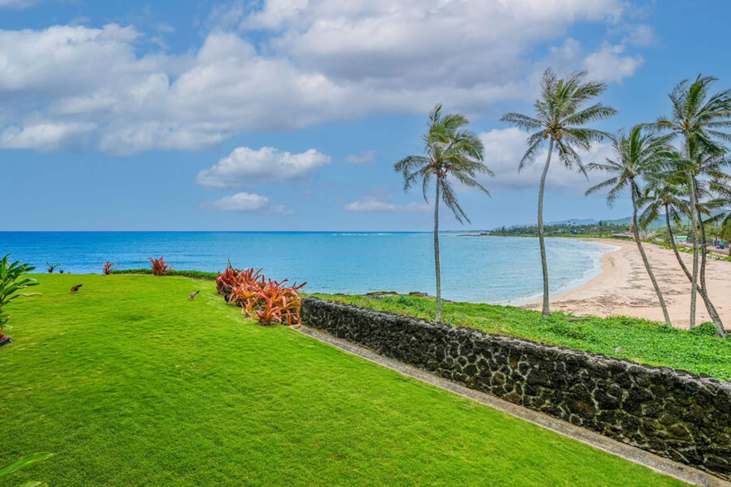 Condo in Kapaa · ★4.75 · 1 bedroom · 2 beds · 1 bath - Photo 5