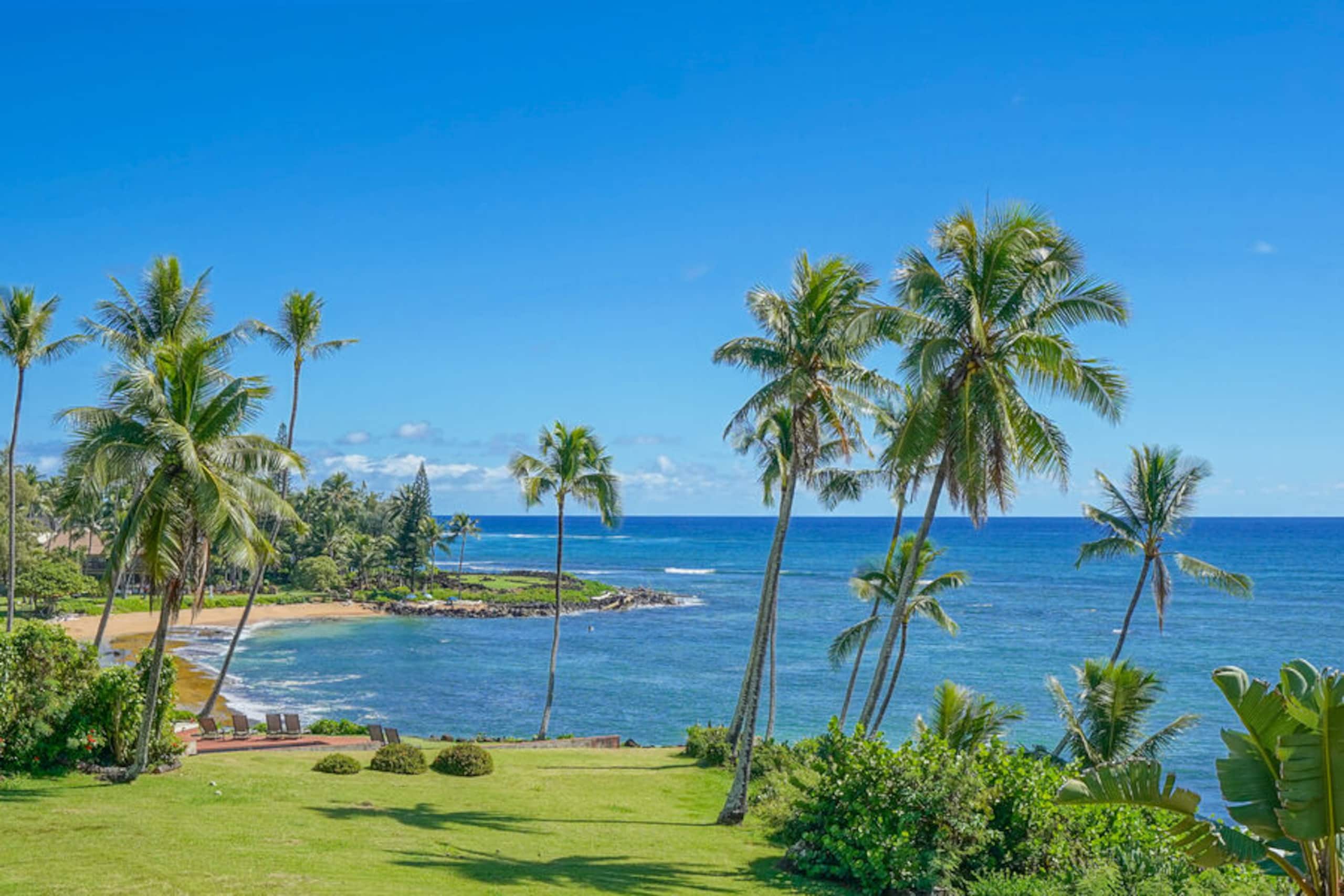 Condo in Kapaa · ★4.88 · 1 bedroom · 1 bed · 1 bath - Image 26