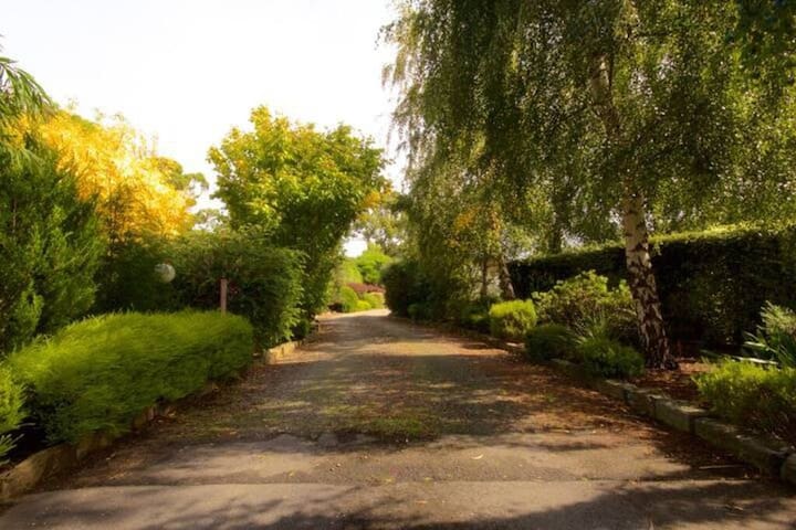 The Deck @ Abs by the Bay