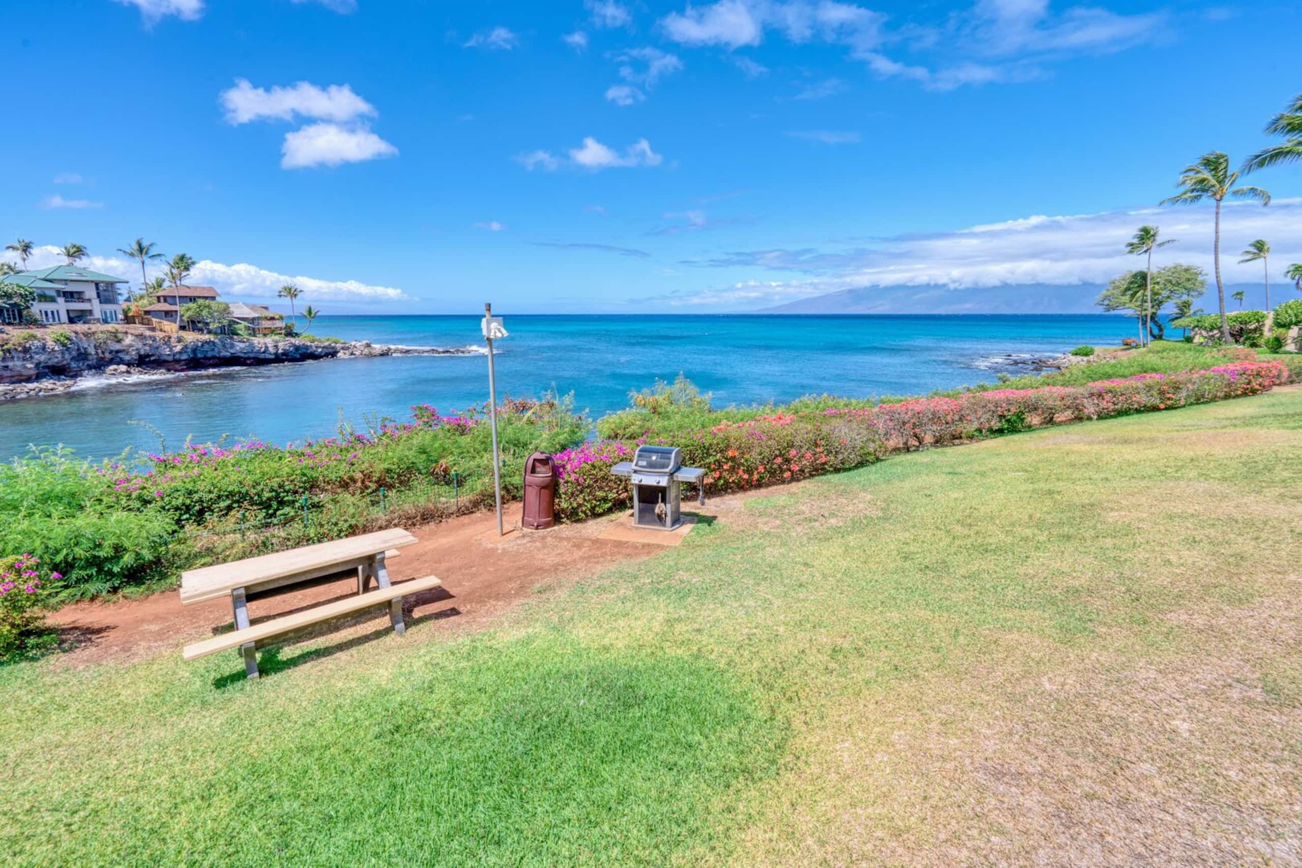 Condo in Lahaina · ★4.75 · 2 bedrooms · 4 beds · 2 baths - Image 55