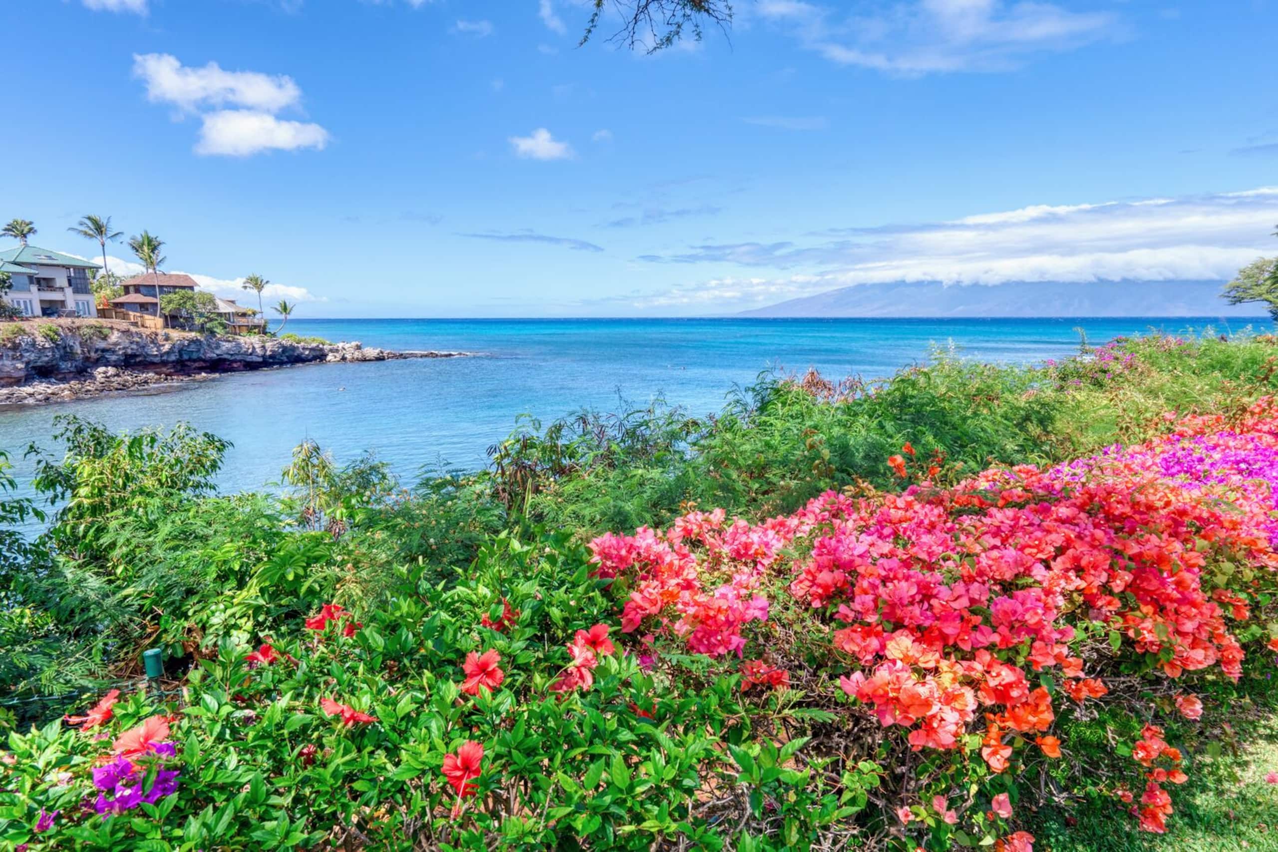 Condo in Lahaina · ★4.75 · 2 bedrooms · 4 beds · 2 baths - Image 56