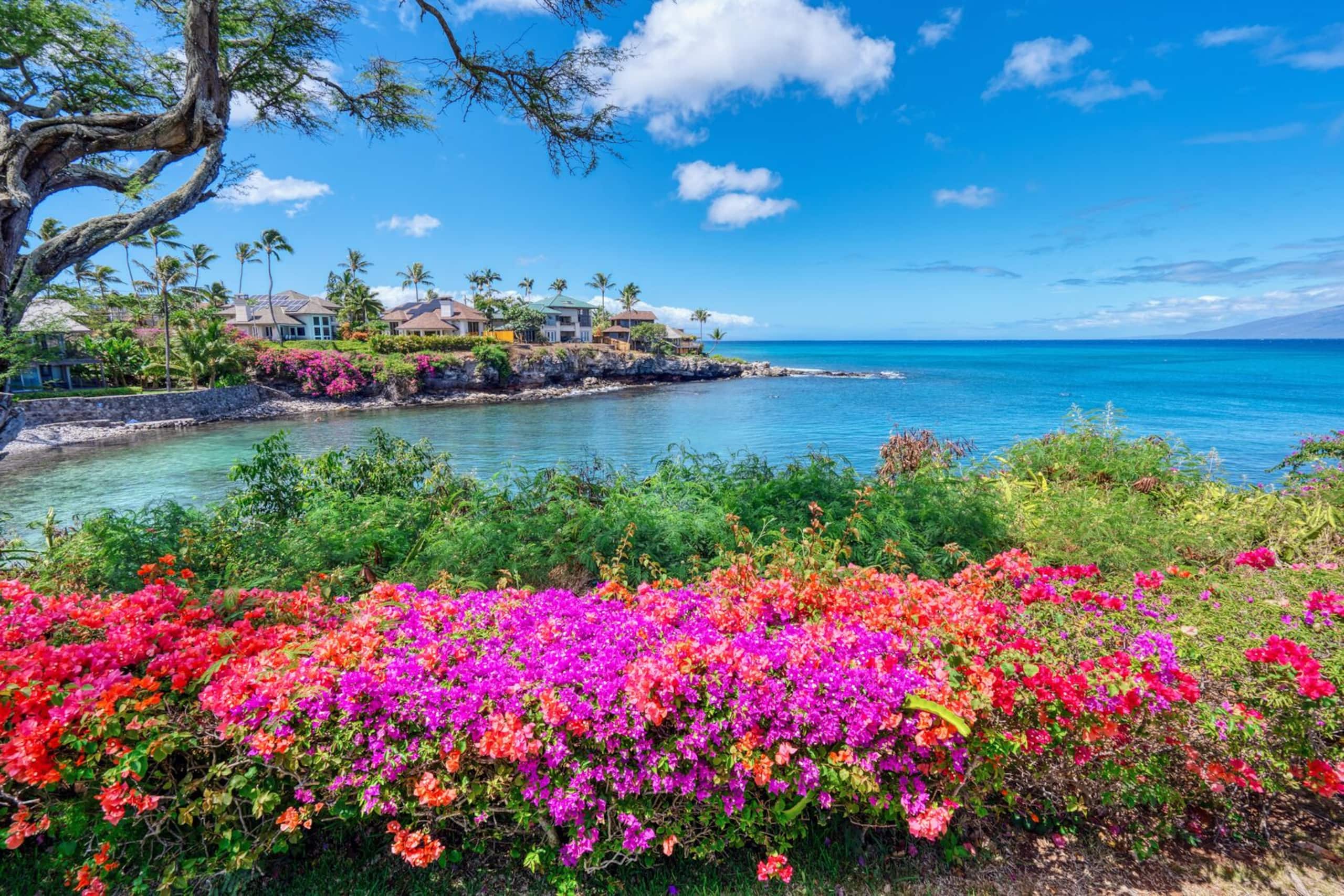Condo in Lahaina · ★4.75 · 2 bedrooms · 4 beds · 2 baths - Image 57
