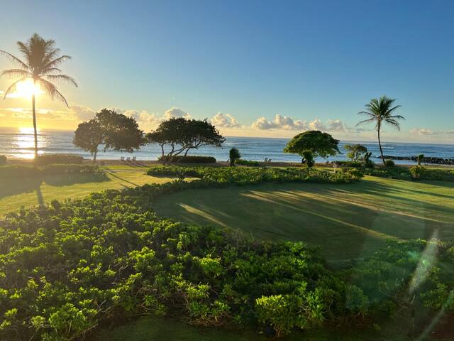 Waipouli Beach Resort G206 gallery image 2