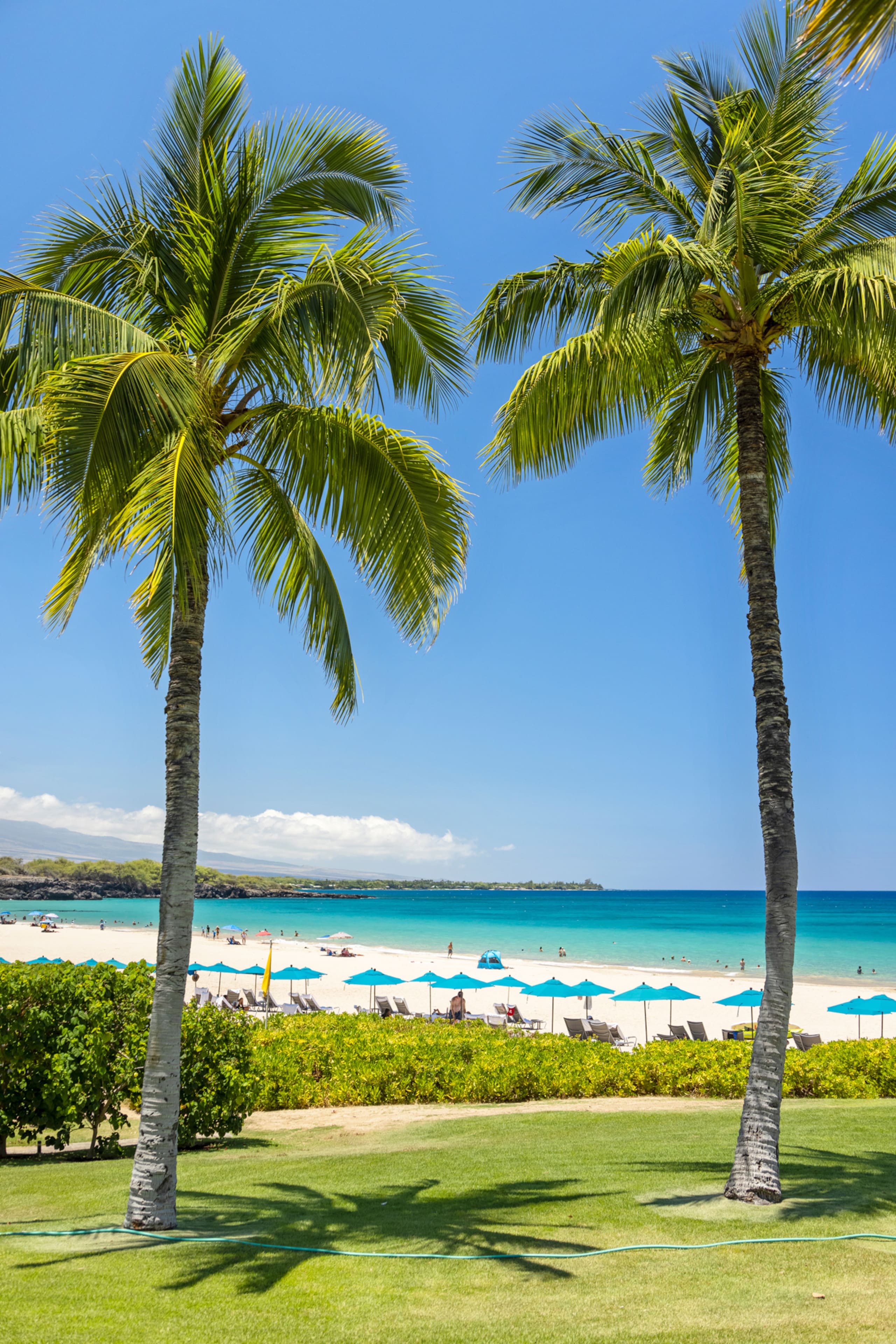 Condo in Waimea · ★5.0 · 1 bedroom · 2 beds · 1 bath - Image 43