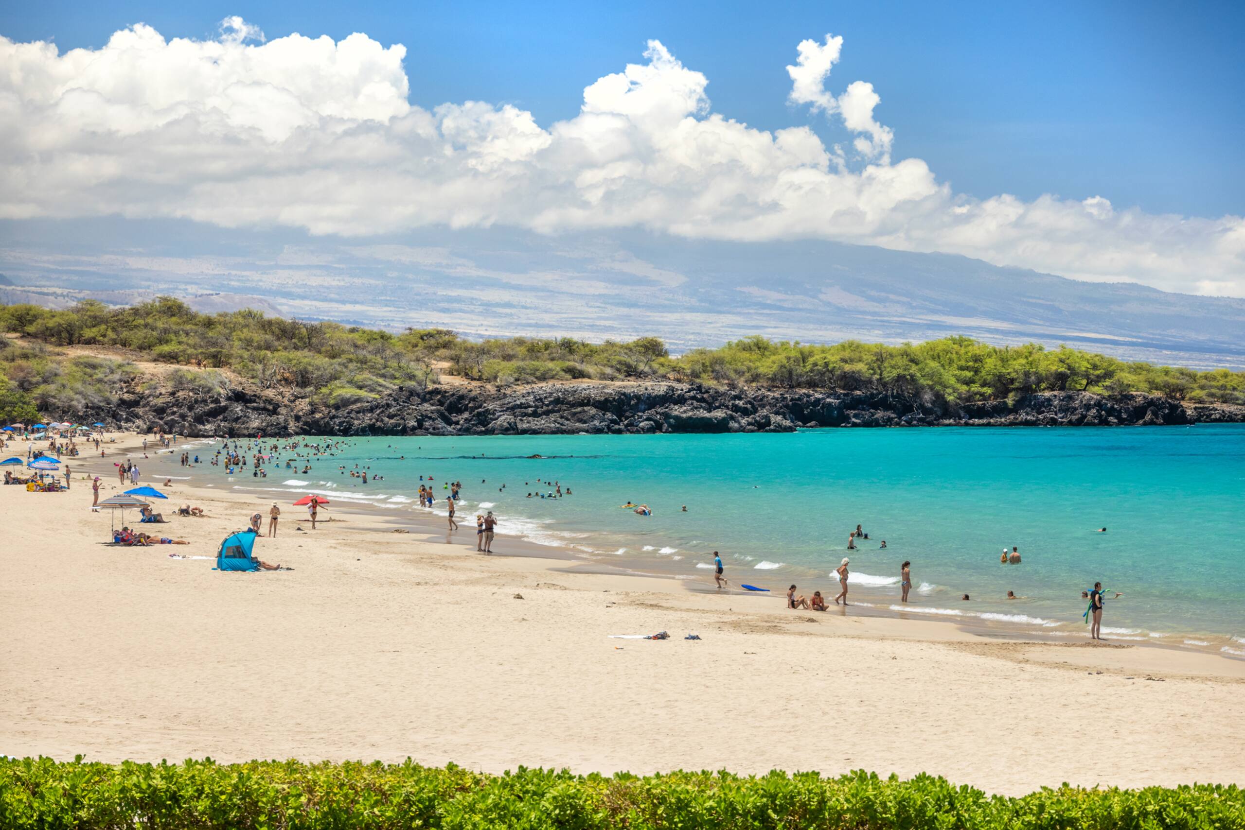Condo in Waimea · ★5.0 · 1 bedroom · 2 beds · 1 bath - Image 41