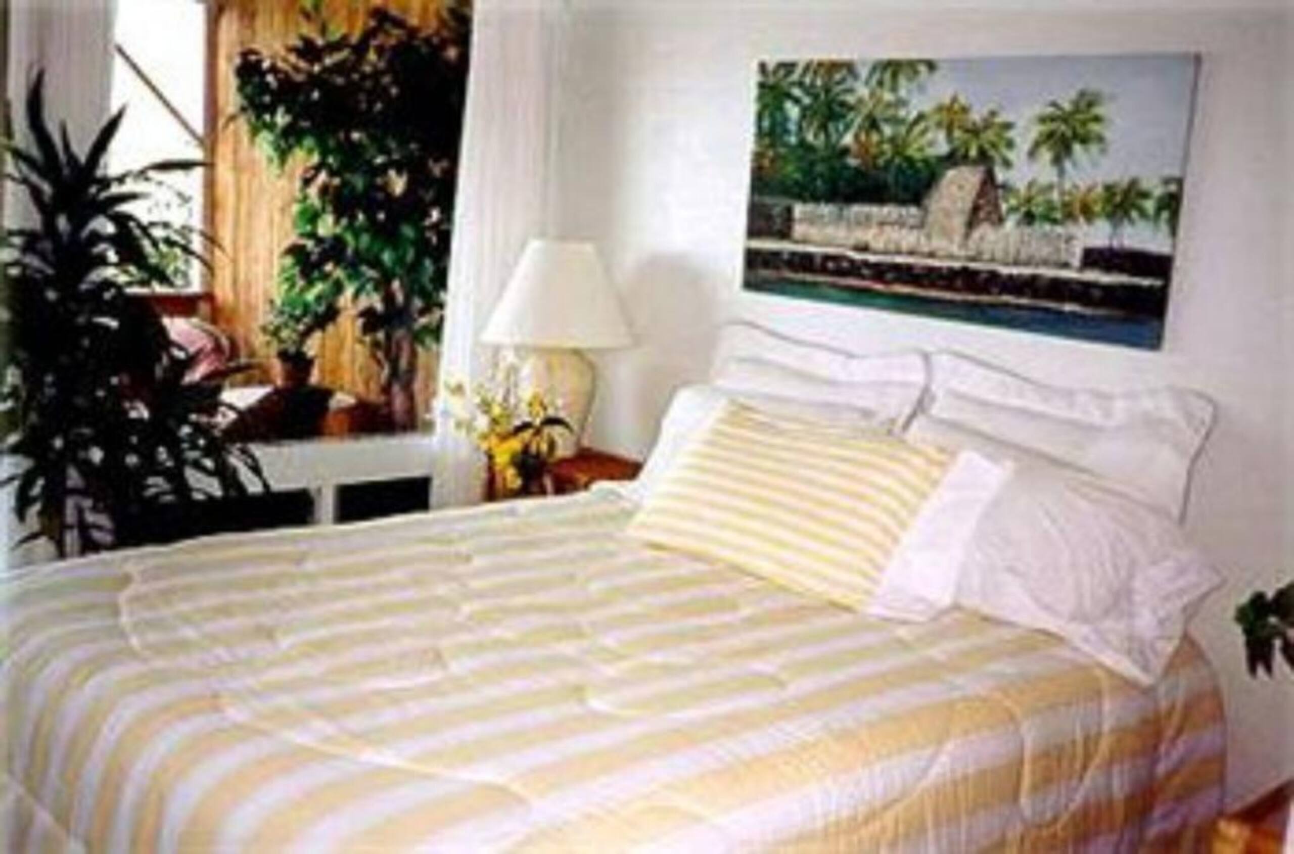 Plumeria Suite @ Hale-Hoola B & B - Photo 8
