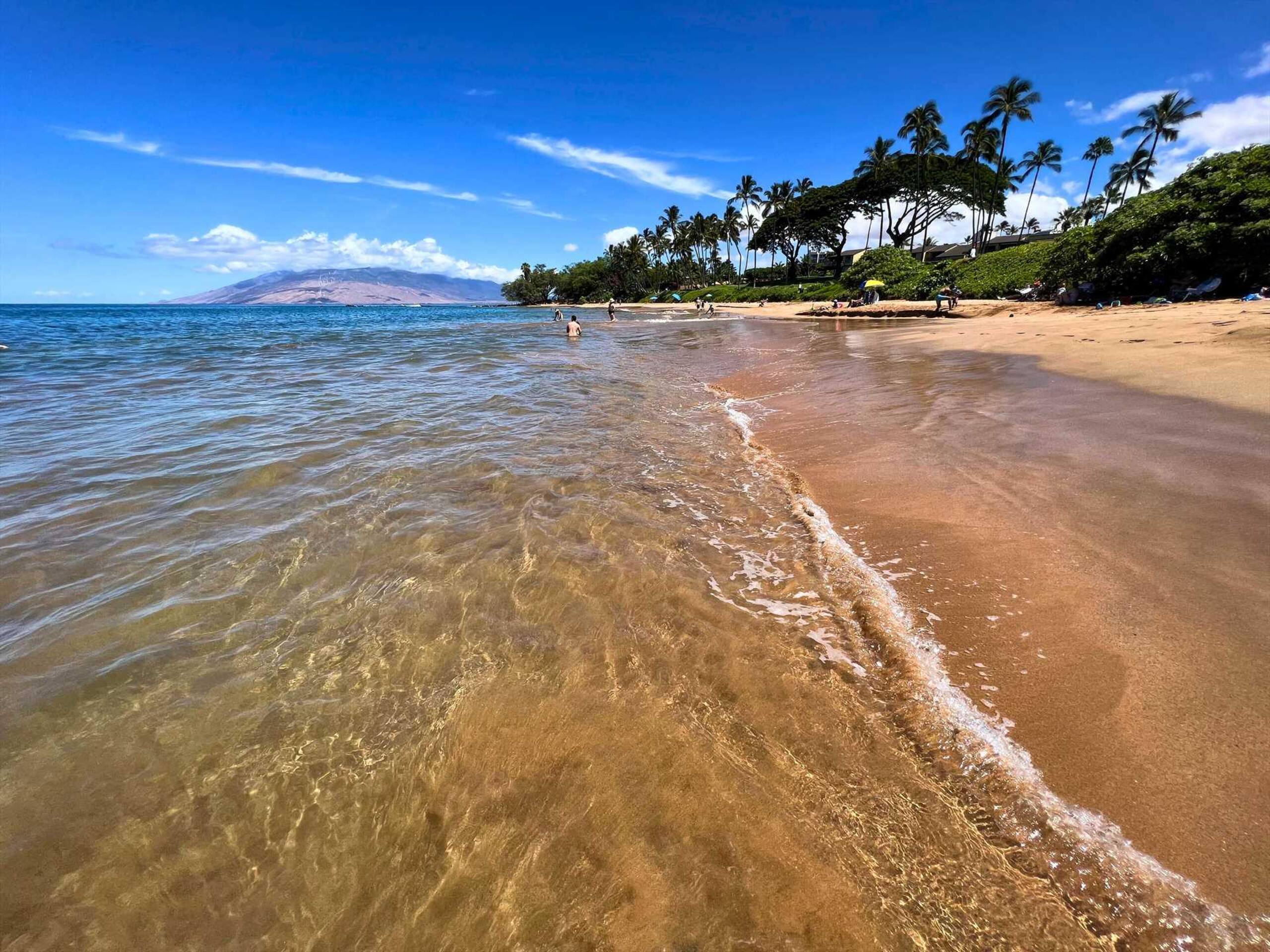 Condo in Kihei · ★4.69 · 2 bedrooms · 3 beds · 2 private baths - Image 39