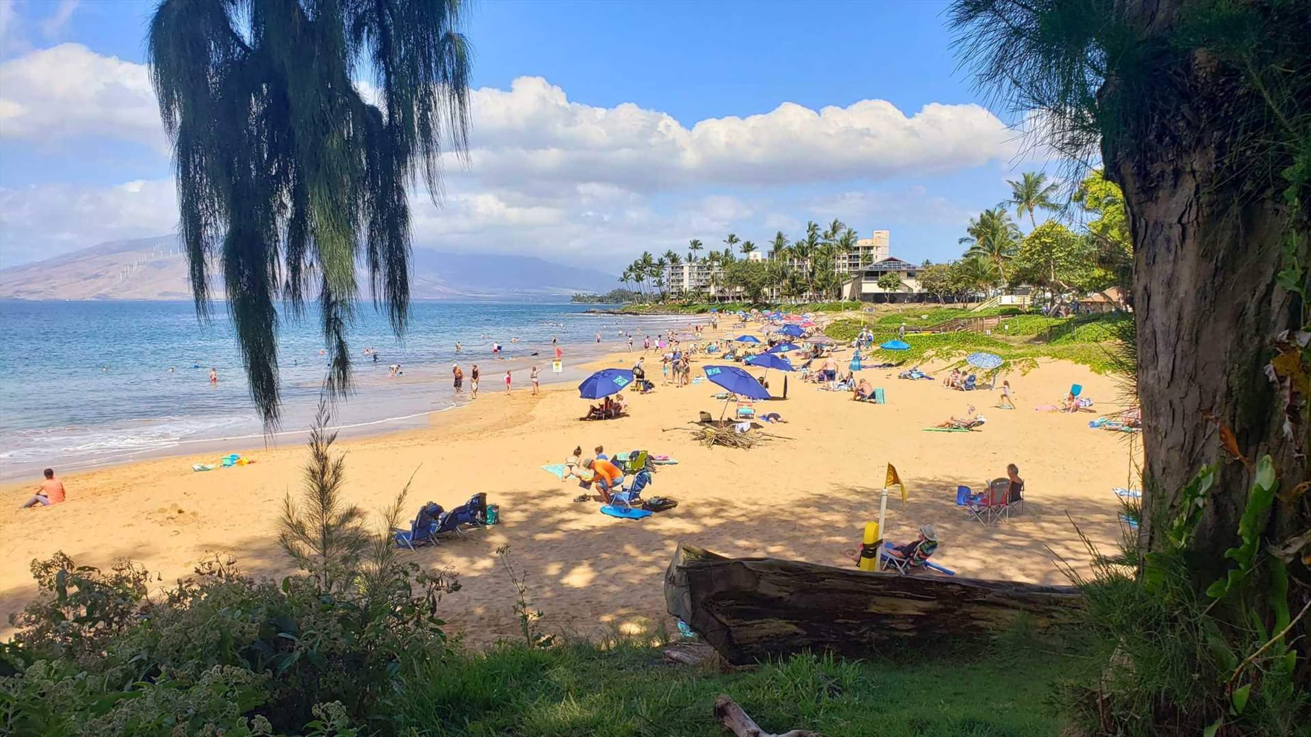 Condo in Kihei · ★4.69 · 2 bedrooms · 3 beds · 2 private baths - Image 37
